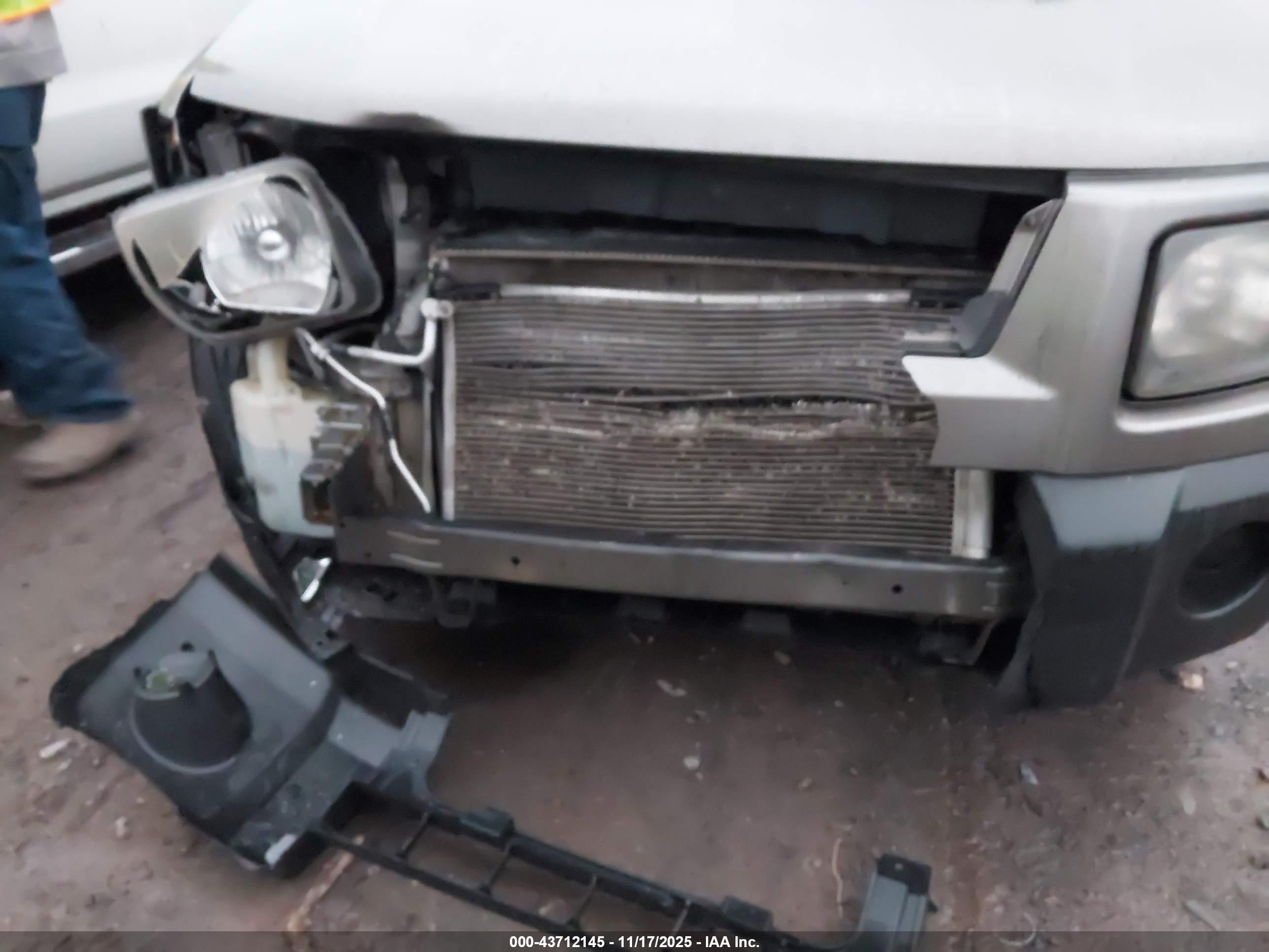HONDA ELEMENT image 6