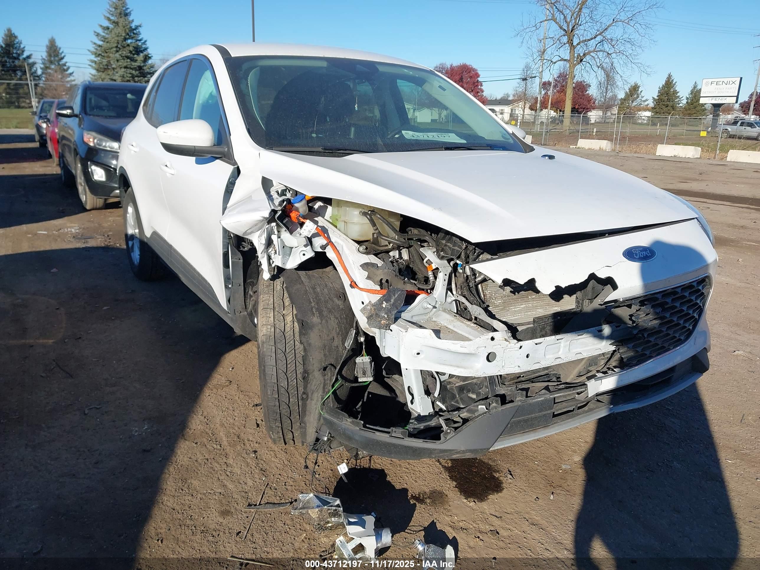 FORD ESCAPE image 6