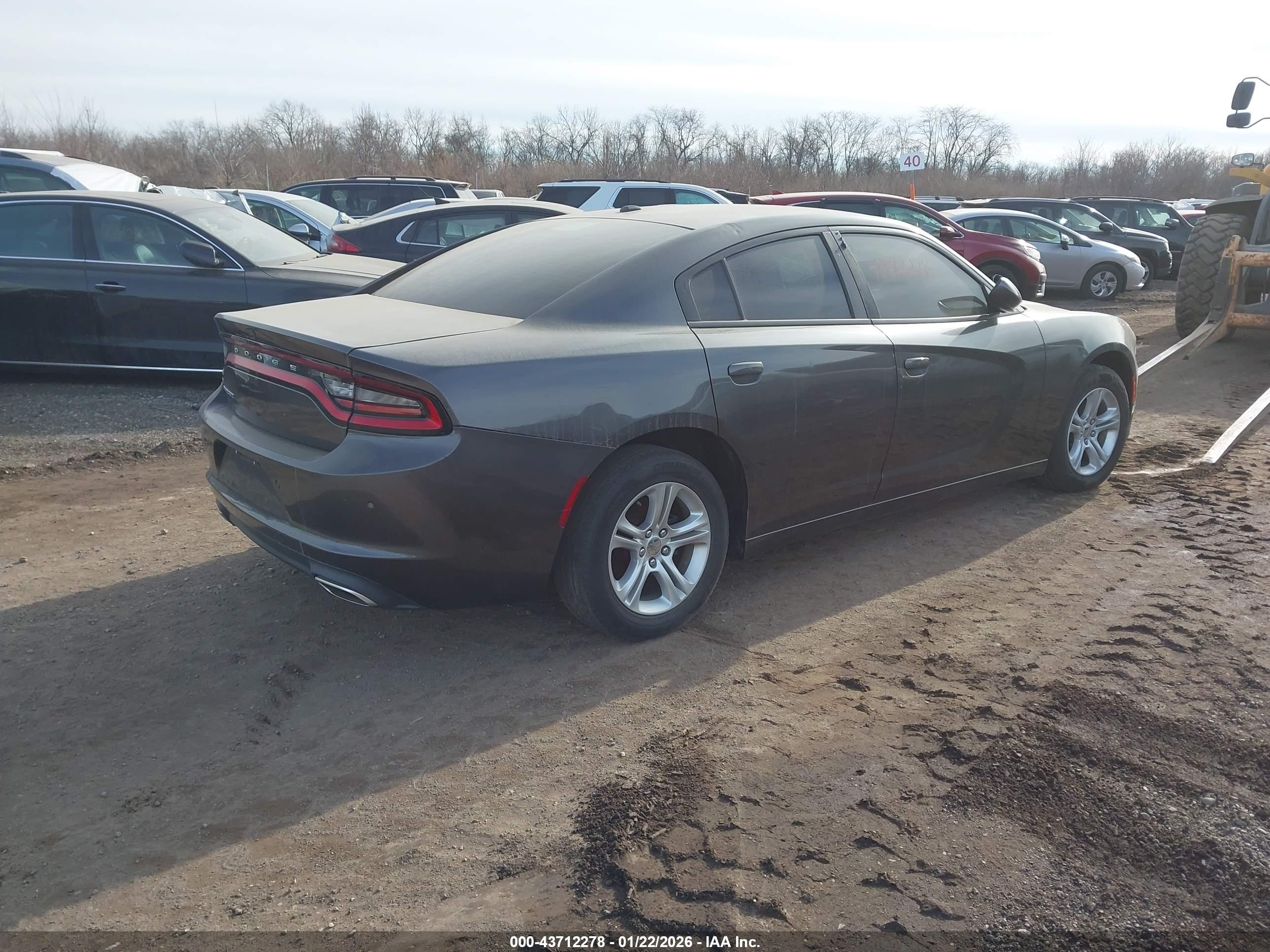 DODGE CHARGER image 4