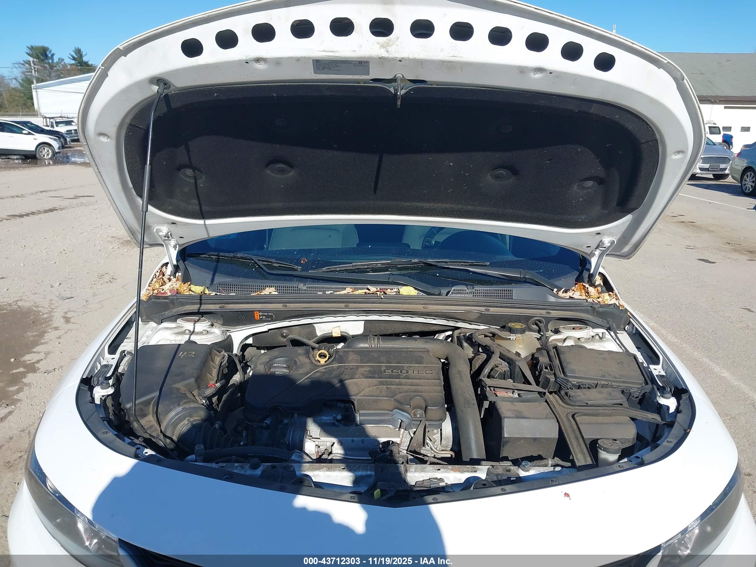 CHEVROLET MALIBU image 10