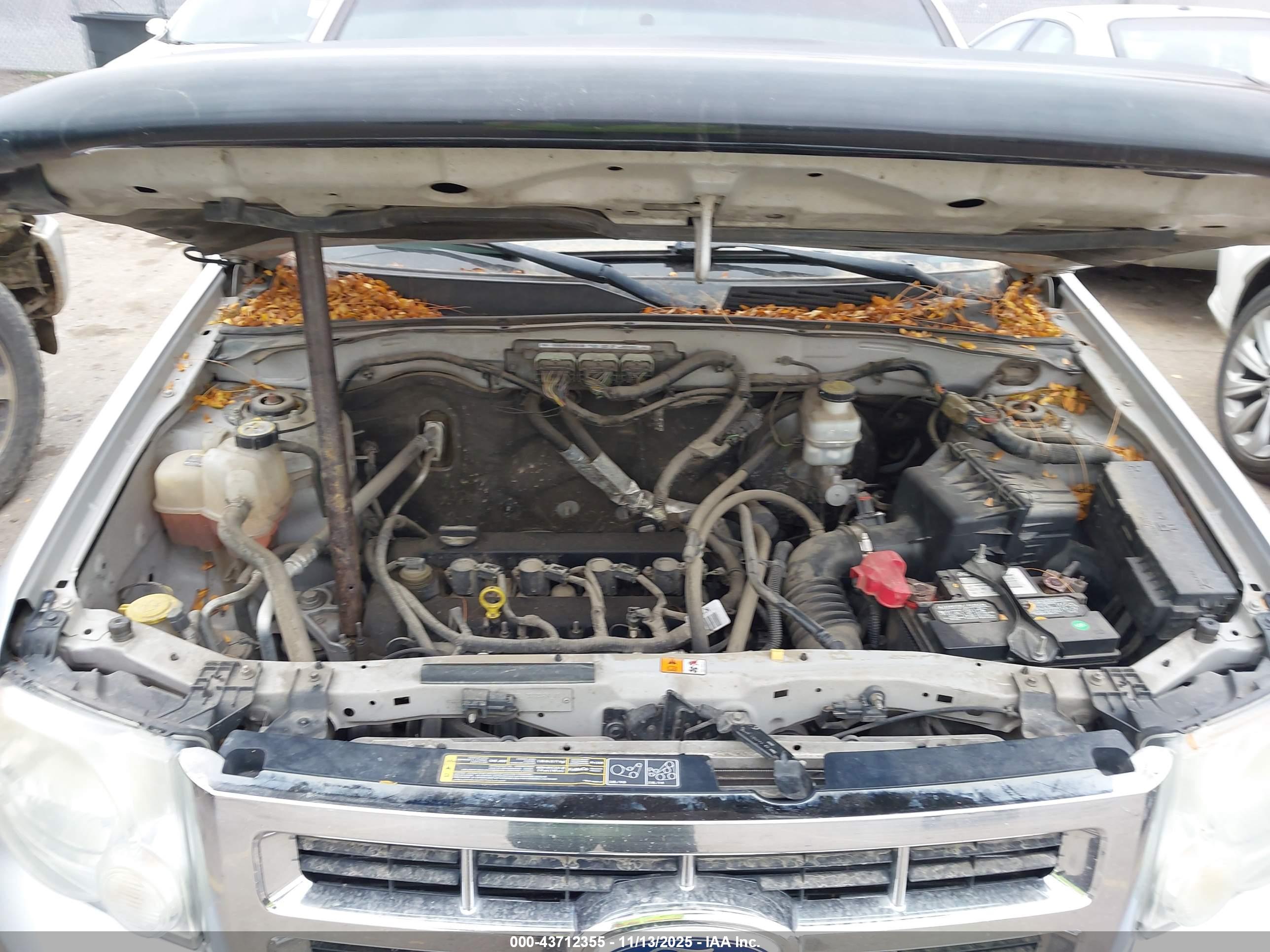 FORD ESCAPE image 10