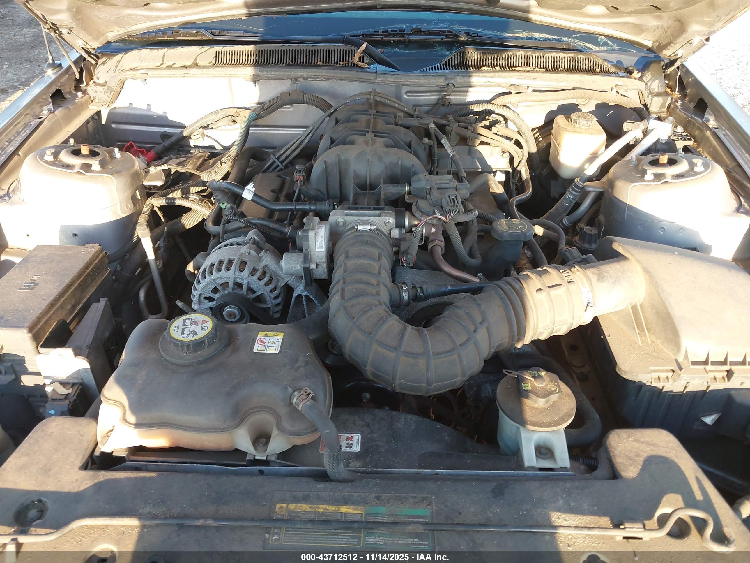 FORD MUSTANG image 10