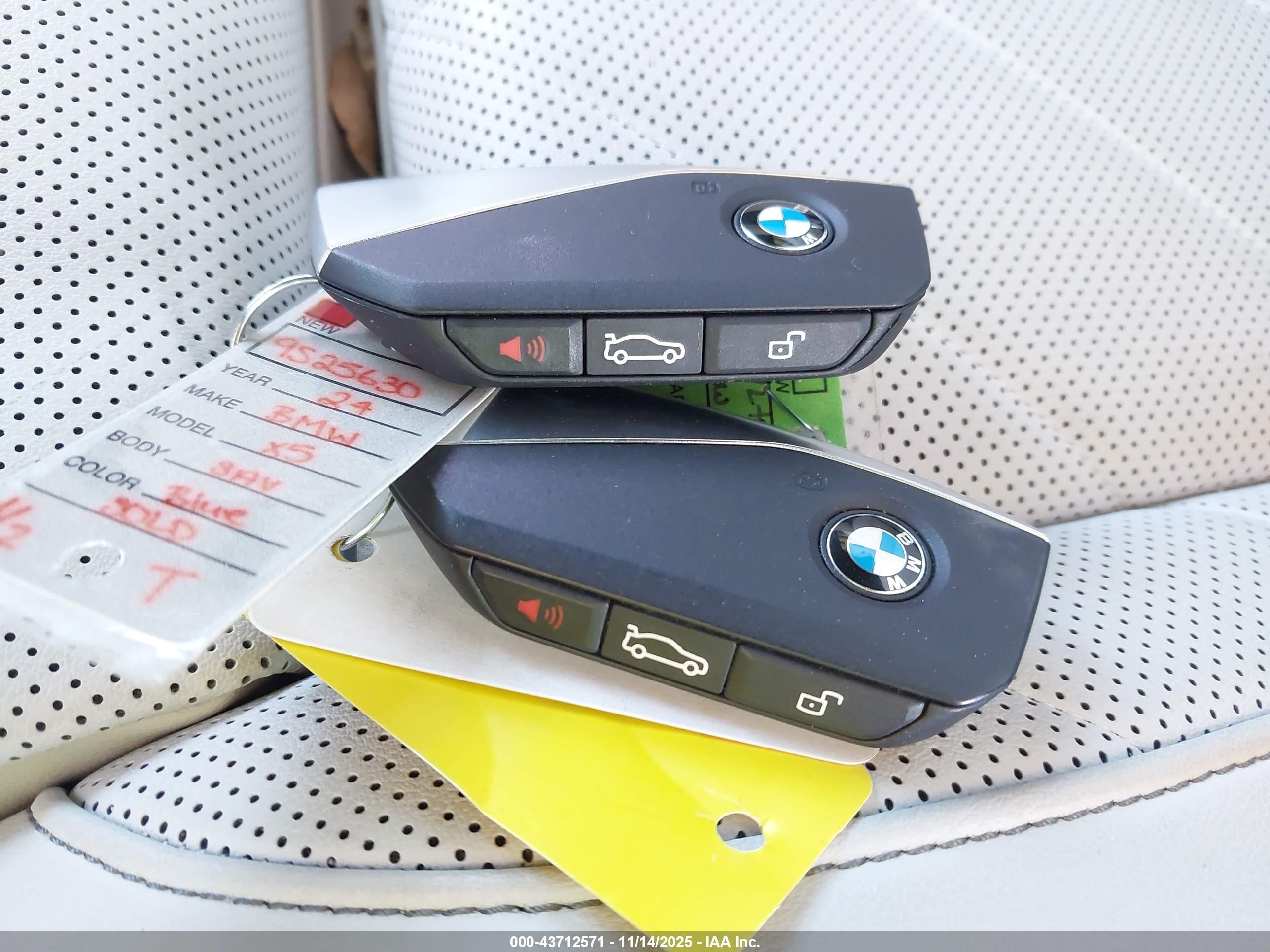 BMW X5 image 11