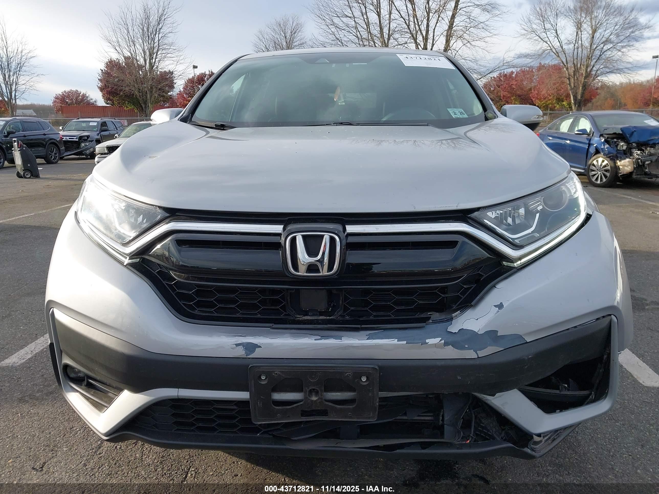 HONDA CR-V image 6