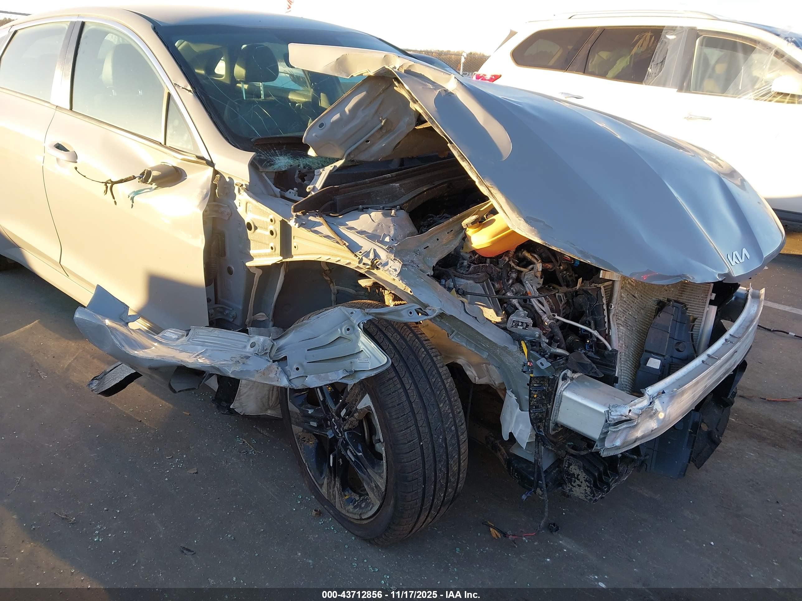 KIA K5 image 6