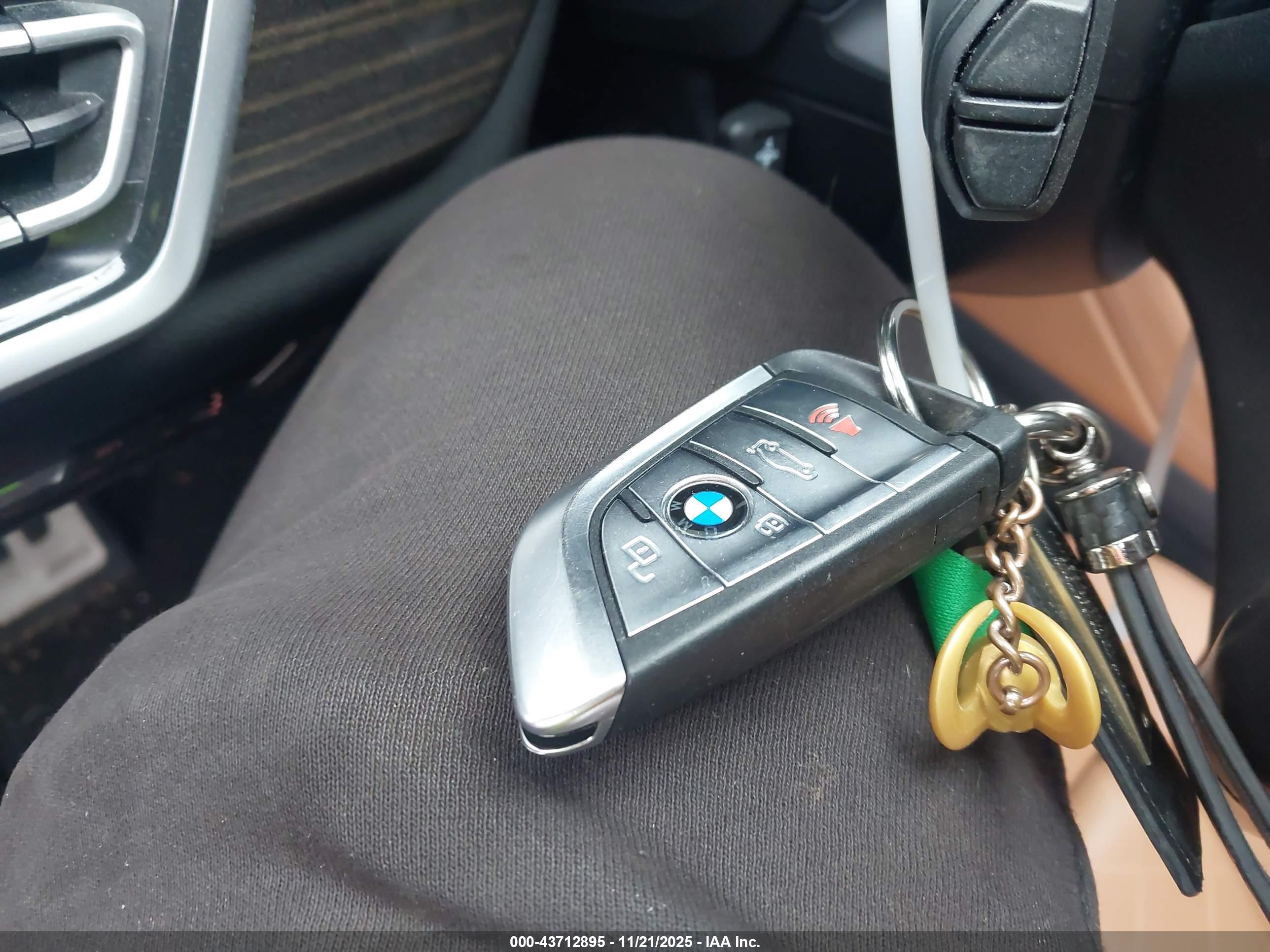 BMW X6 image 11