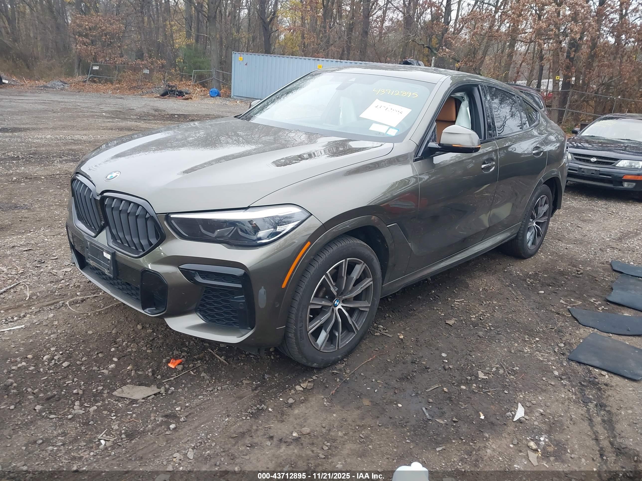 BMW X6 image 2
