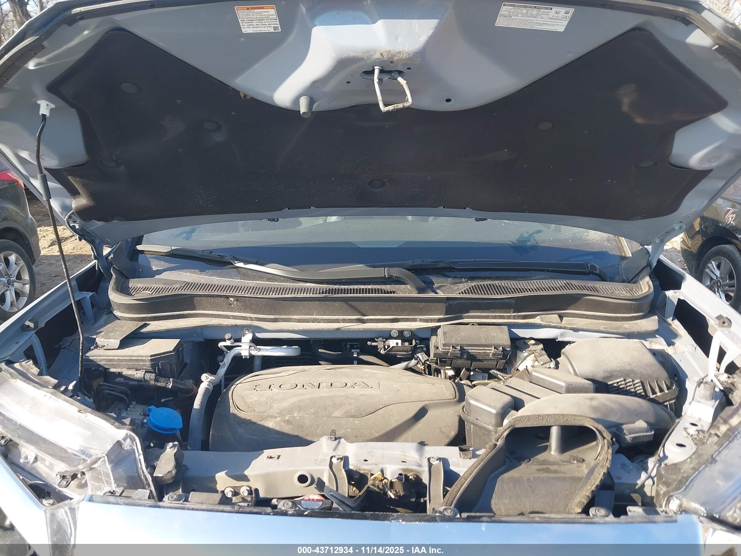 HONDA PASSPORT image 10
