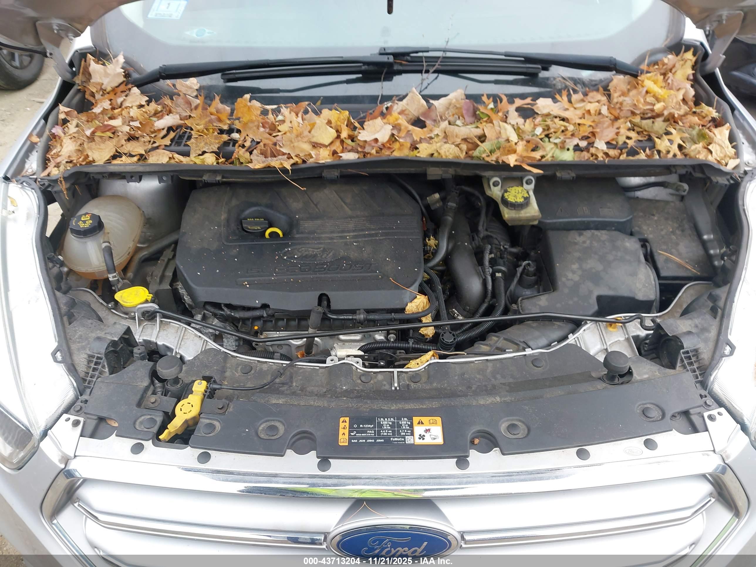 FORD ESCAPE image 10