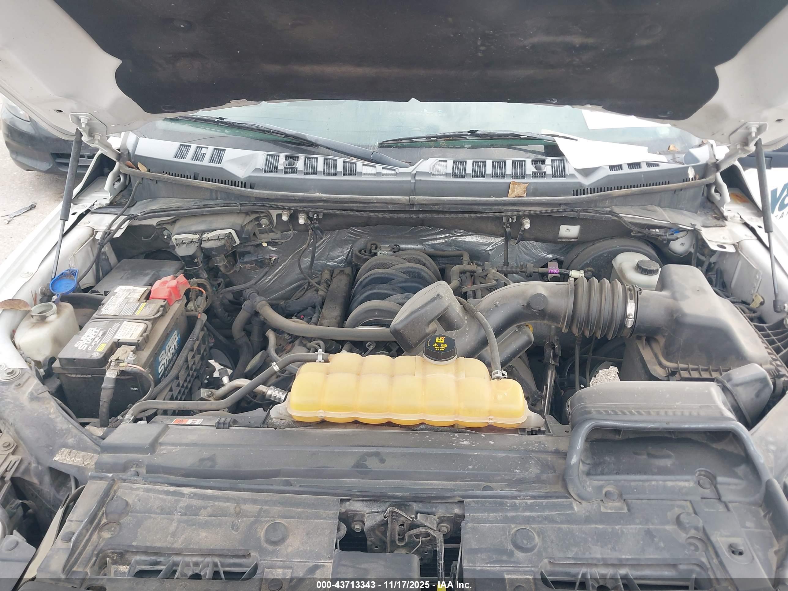 FORD F-150 image 10