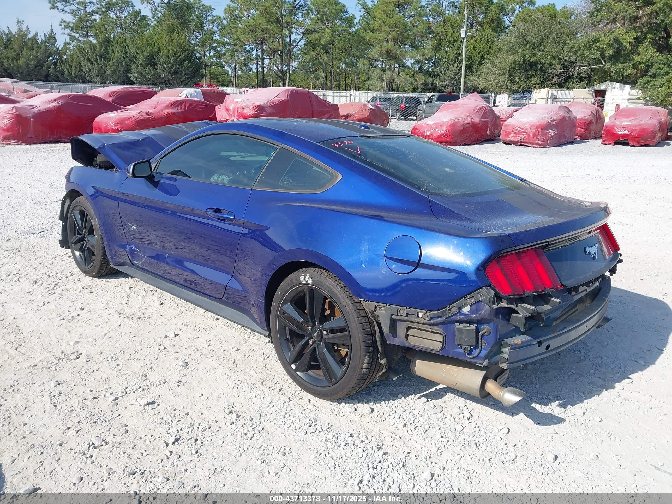 FORD MUSTANG image 3
