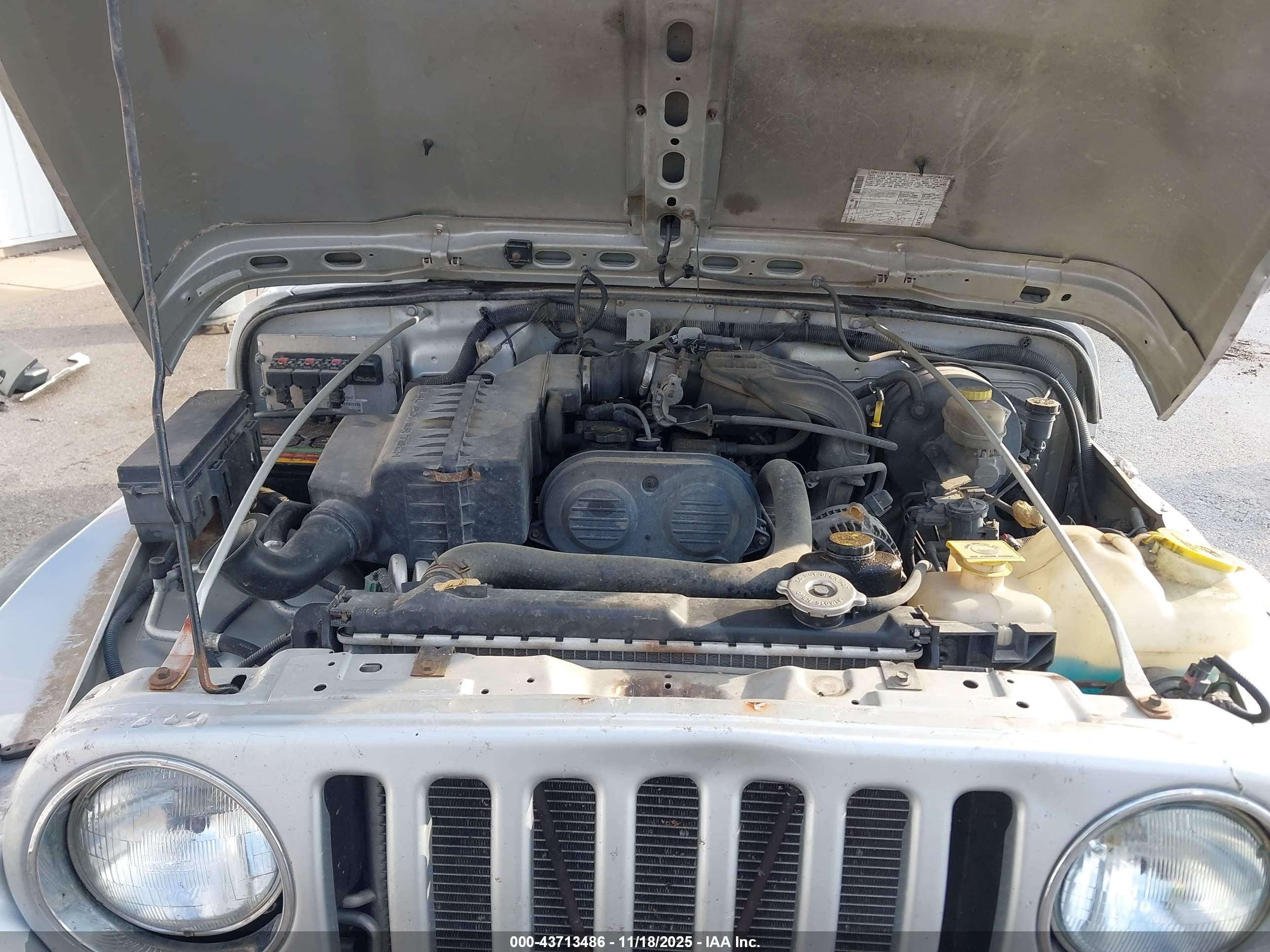 JEEP WRANGLER image 10