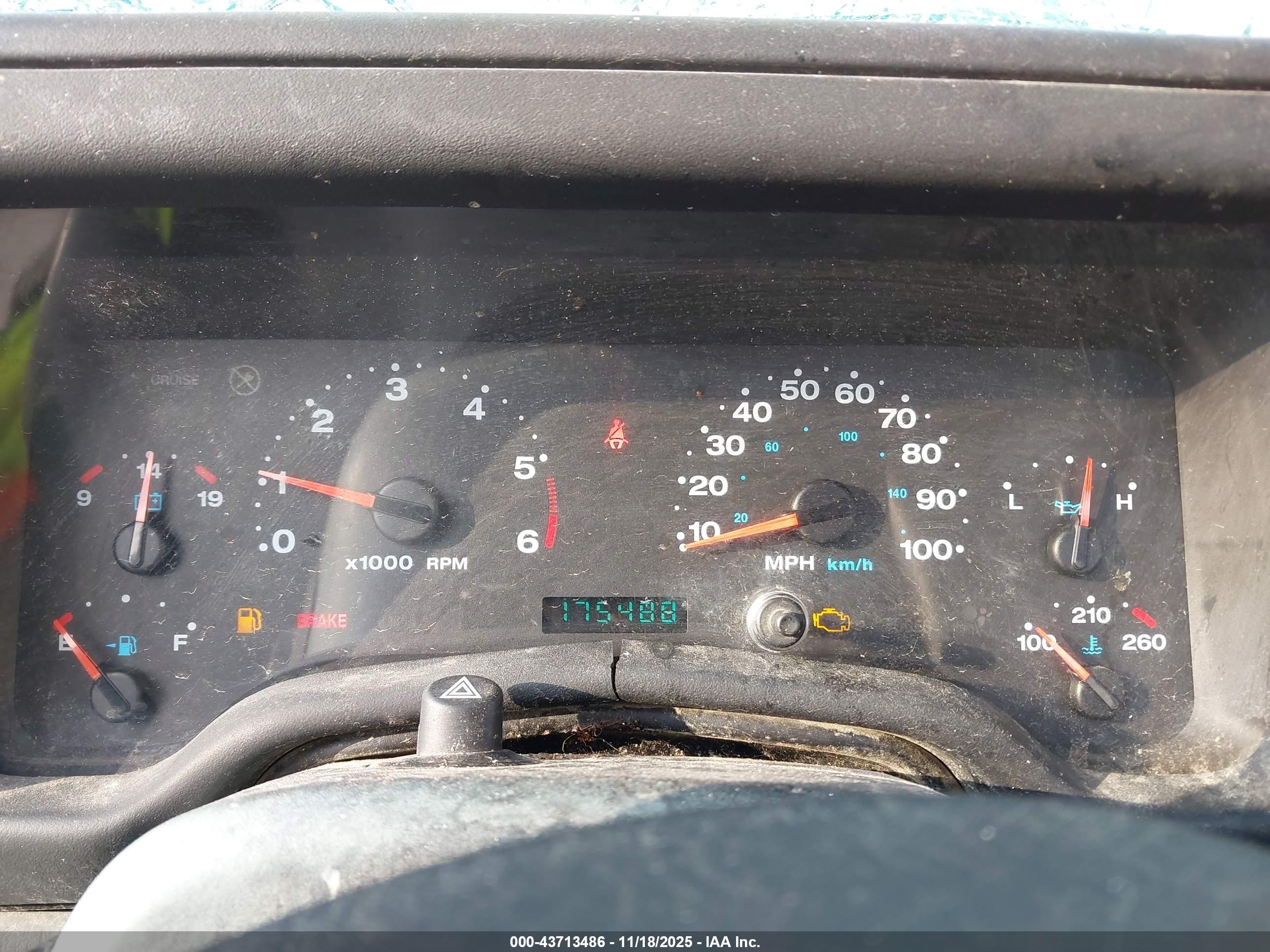 JEEP WRANGLER image 7