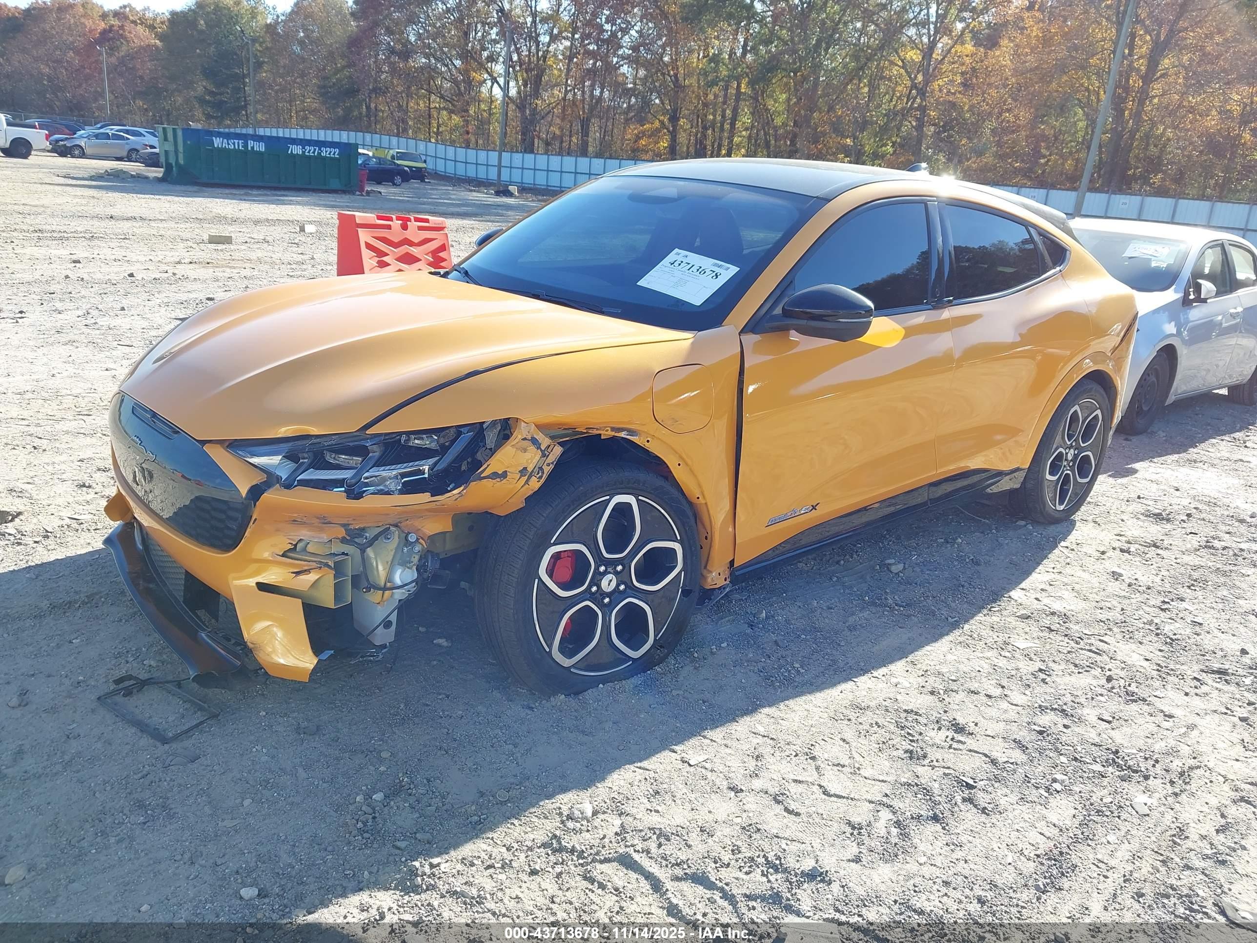 FORD MUSTANG image 2