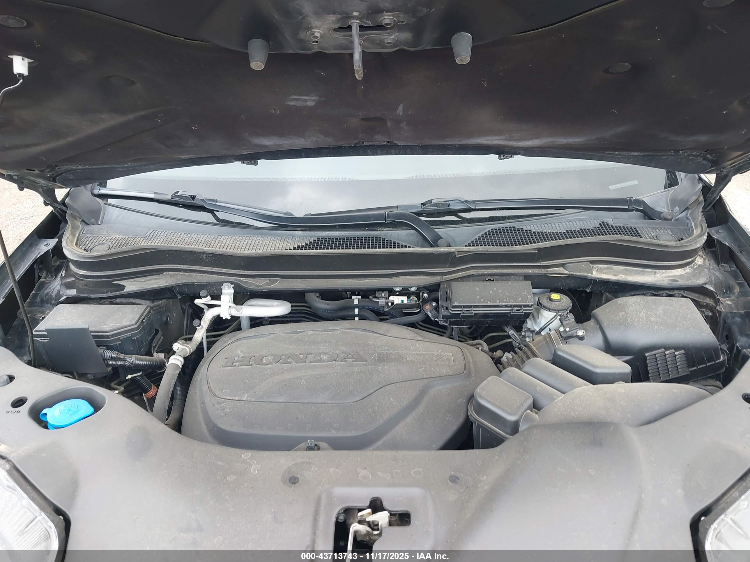 HONDA PASSPORT image 10