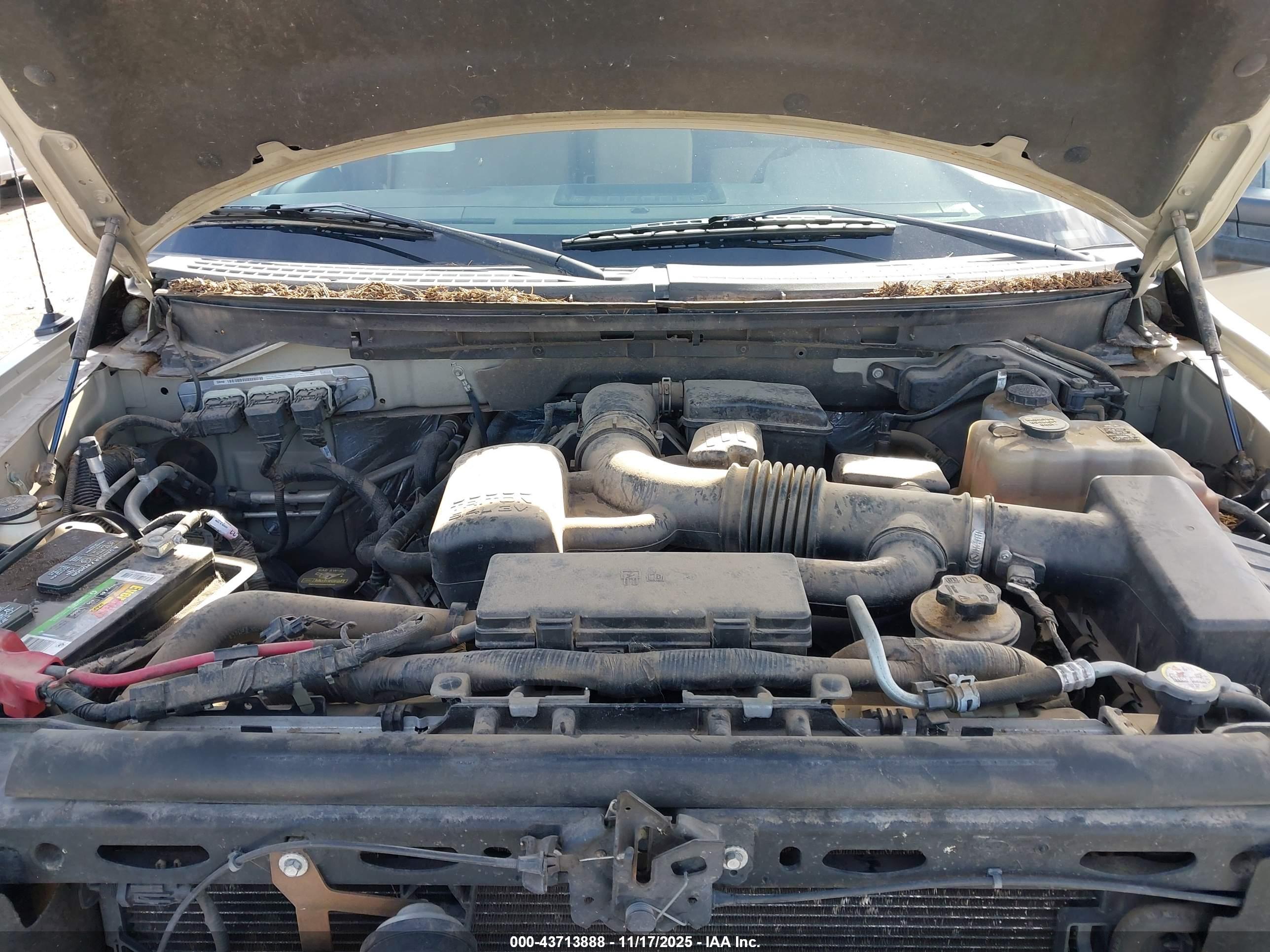 FORD F-150 image 10