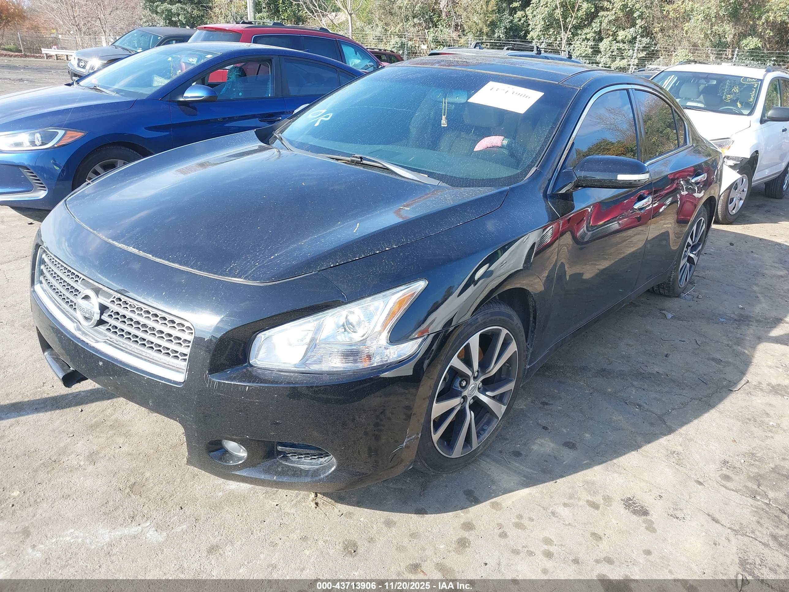 NISSAN MAXIMA image 2
