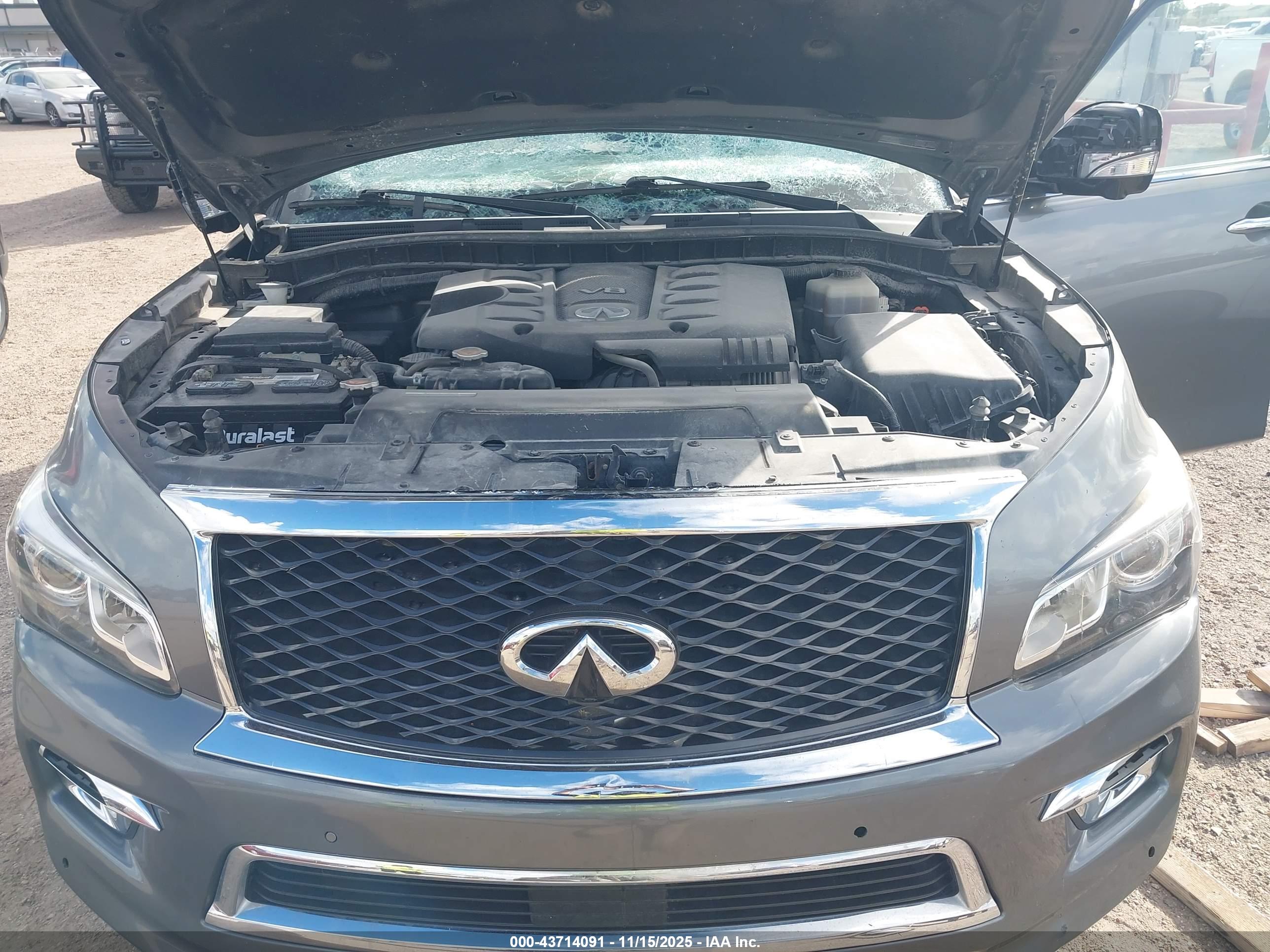 INFINITI QX80 image 10