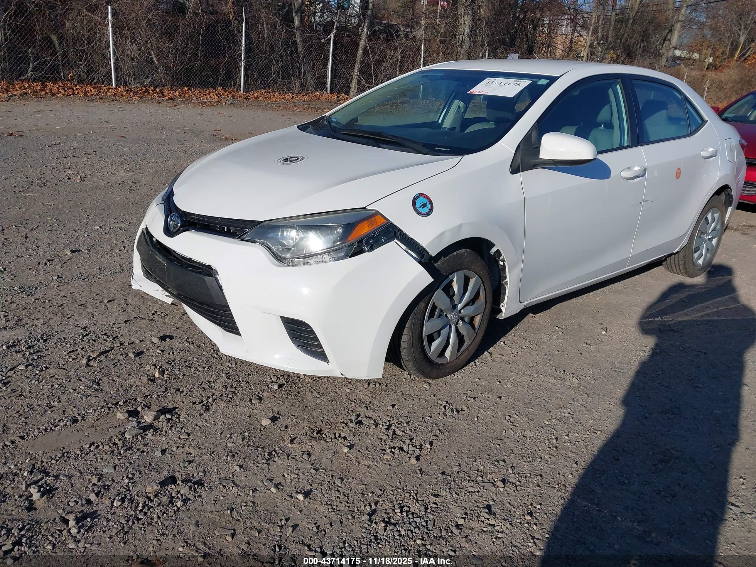 TOYOTA COROLLA image 2
