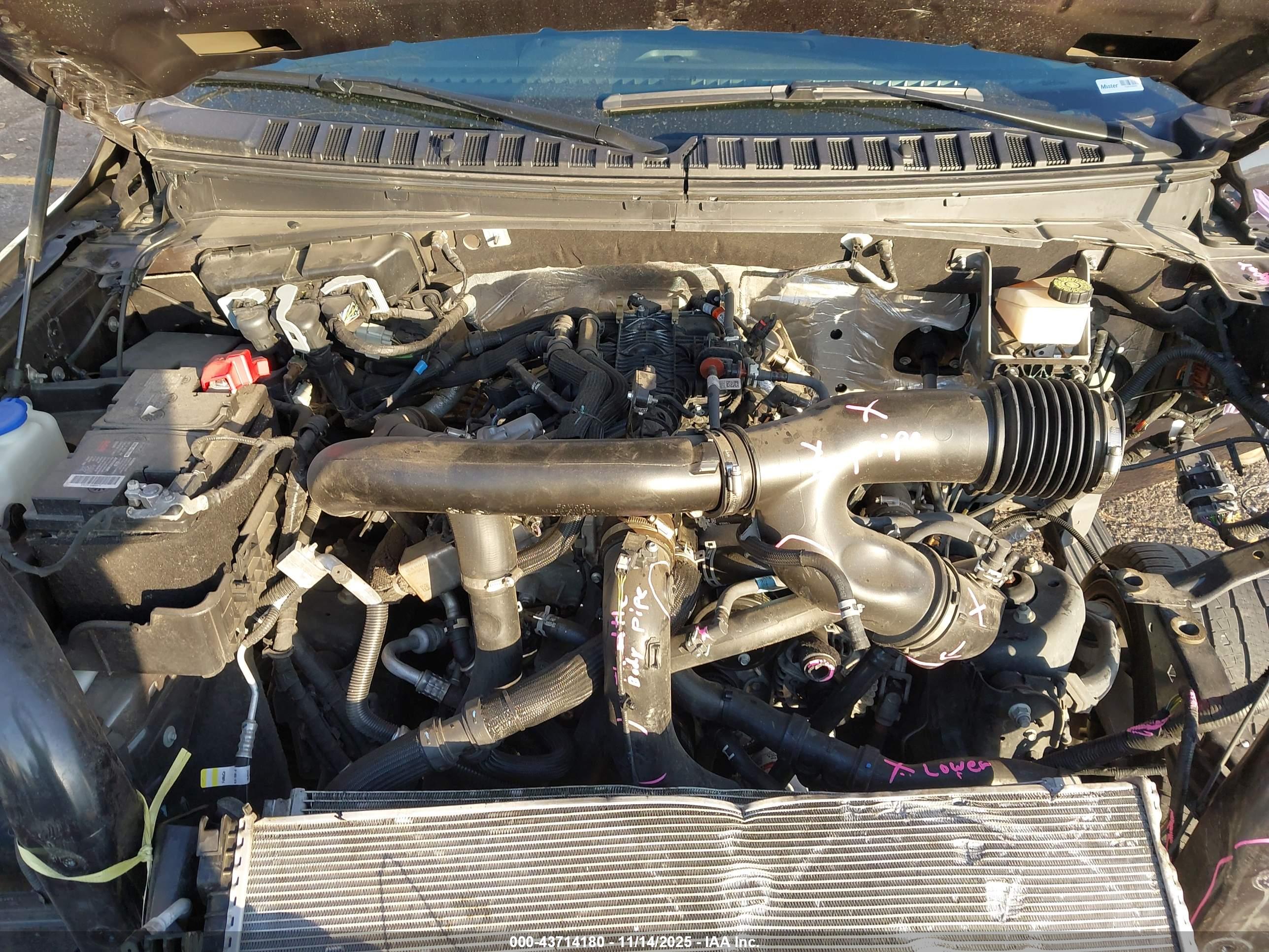 FORD EXPEDITION image 10