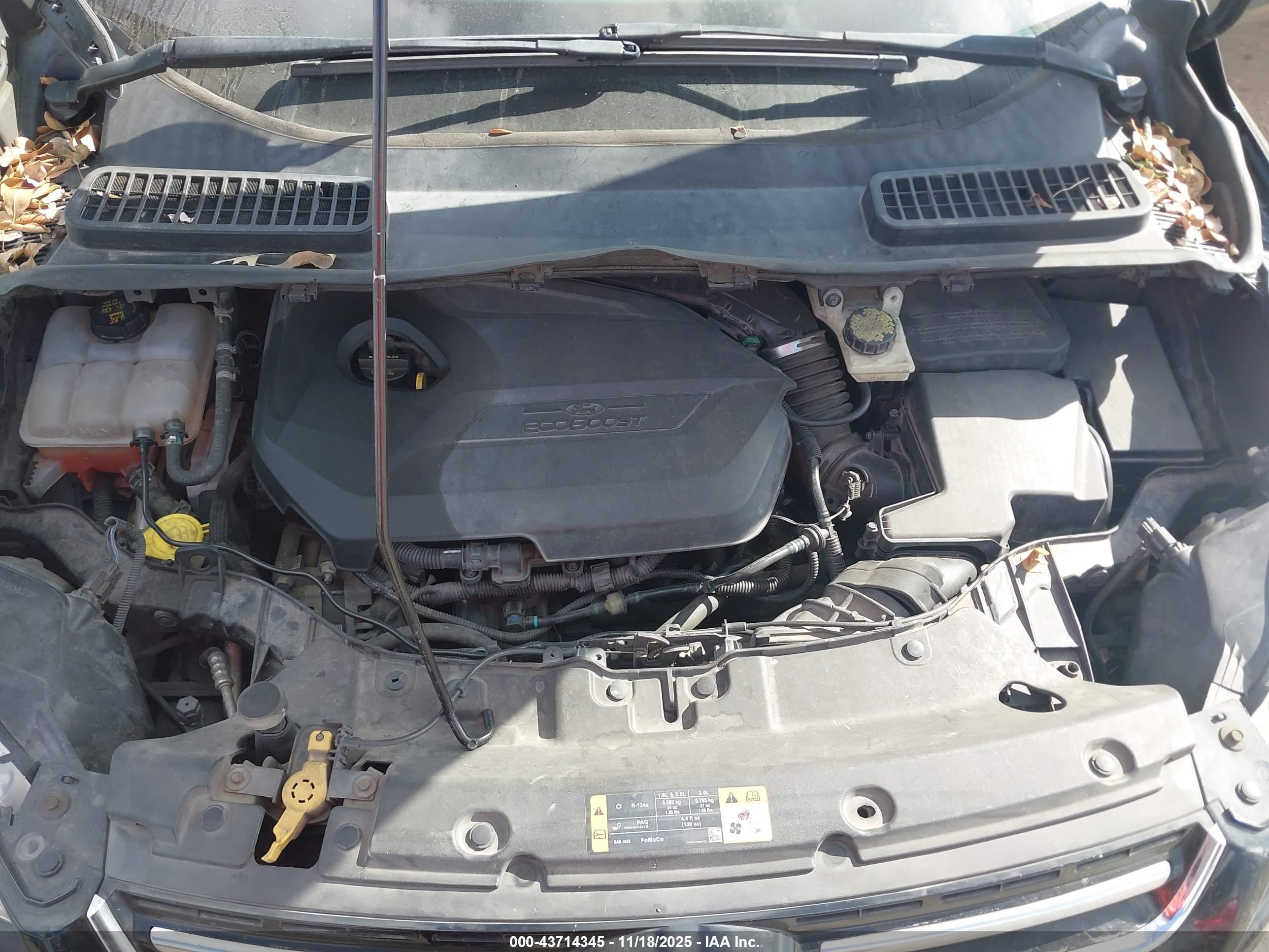 FORD ESCAPE image 10