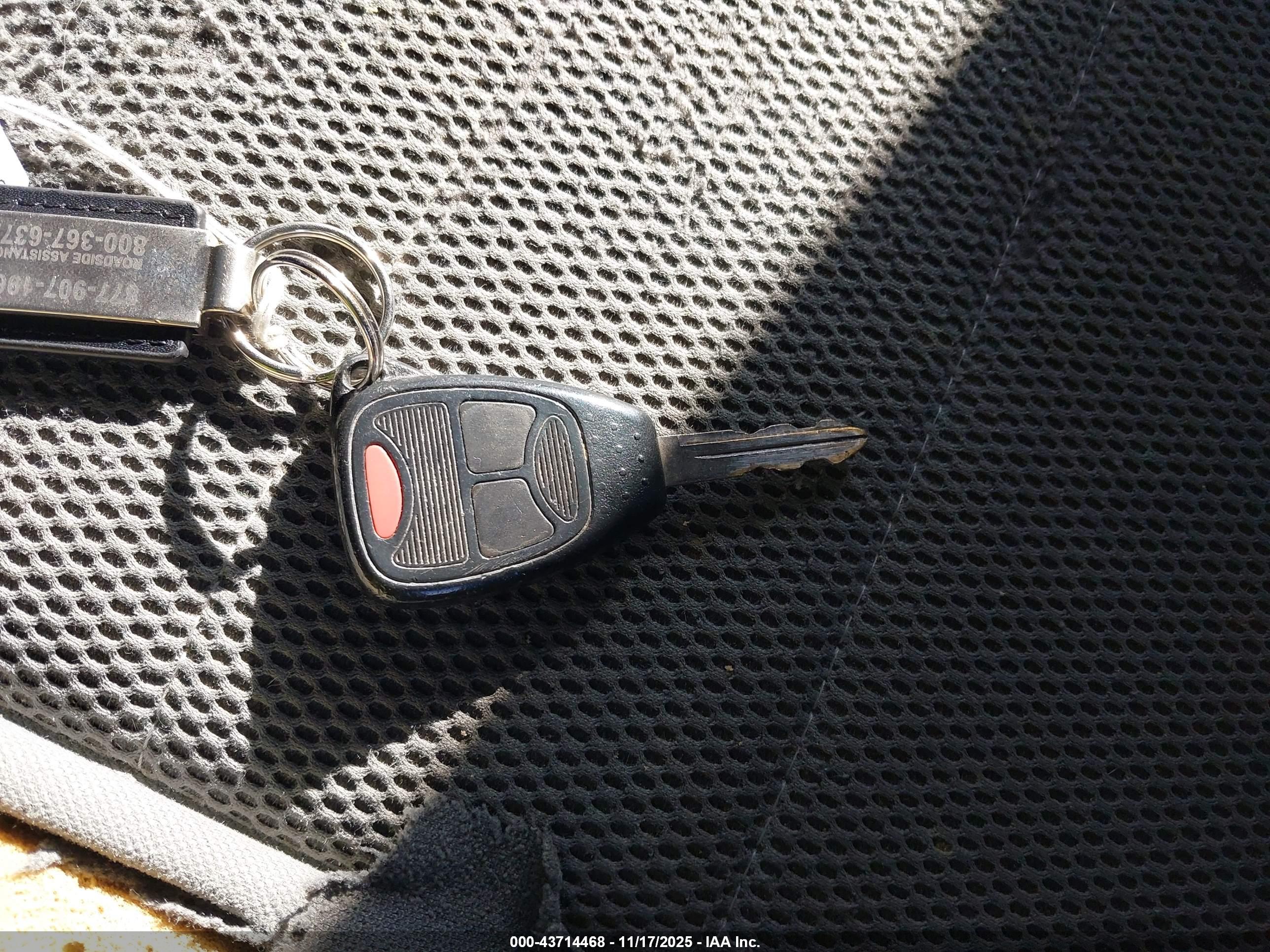 JEEP WRANGLER image 11