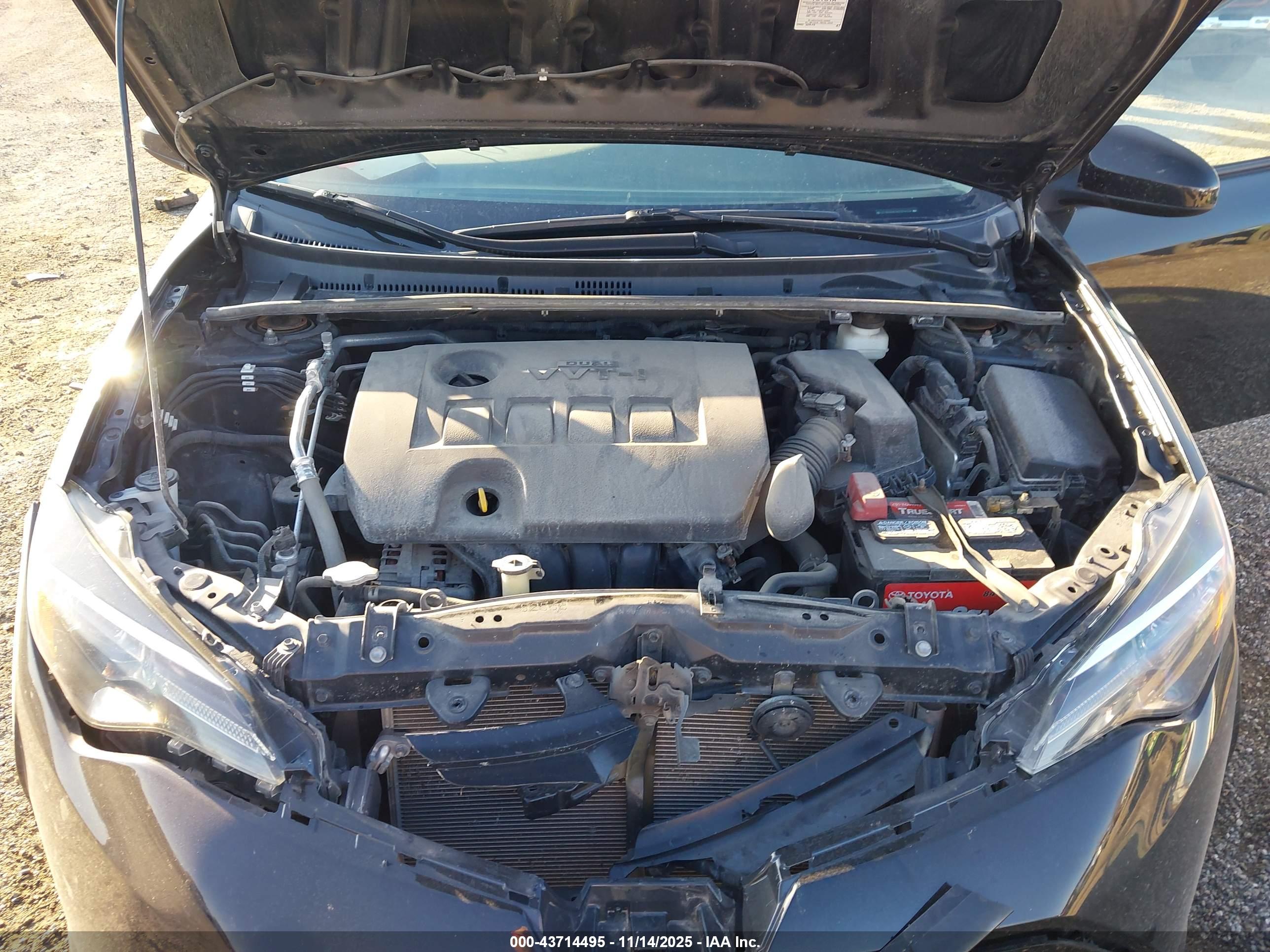 TOYOTA COROLLA image 10