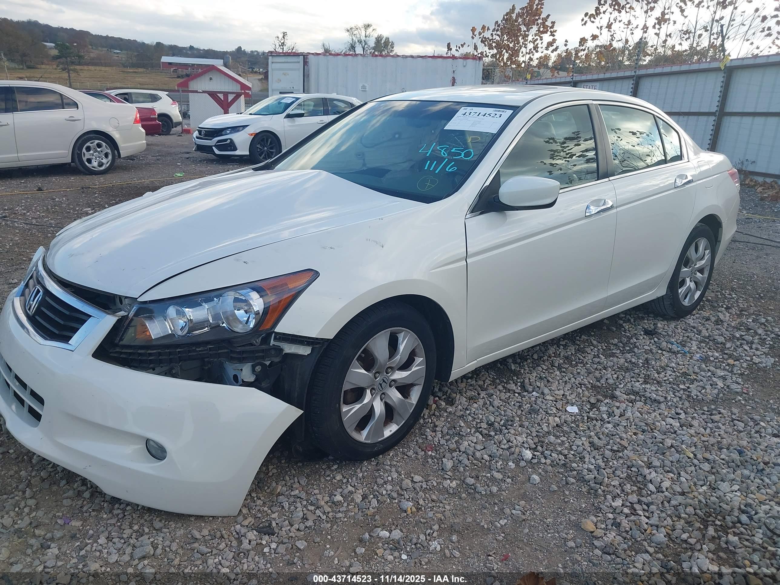 HONDA ACCORD image 2