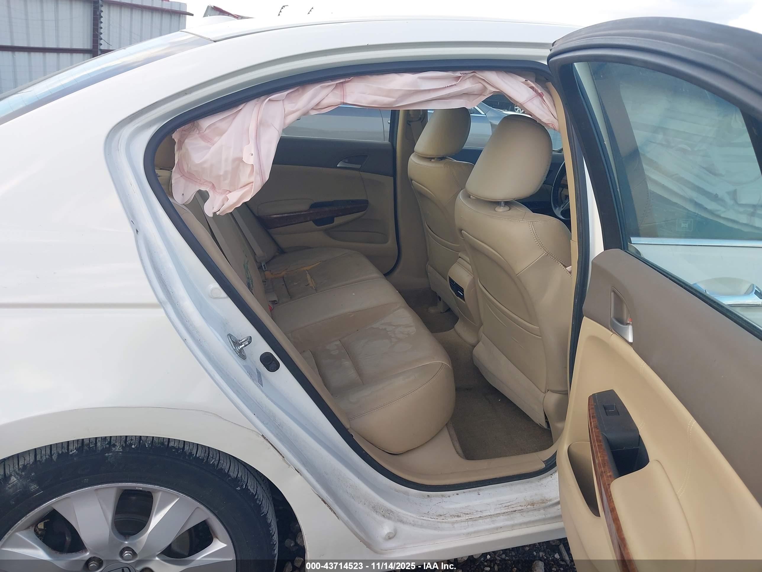 HONDA ACCORD image 8