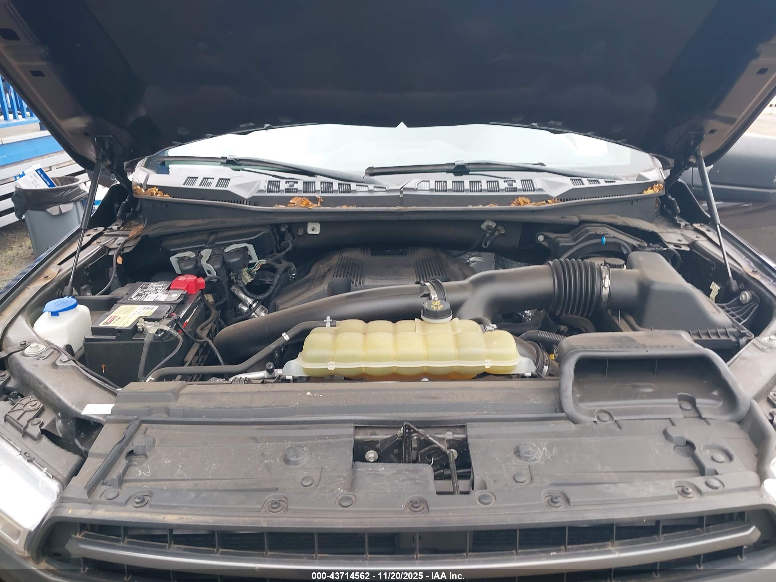 FORD F-150 image 10