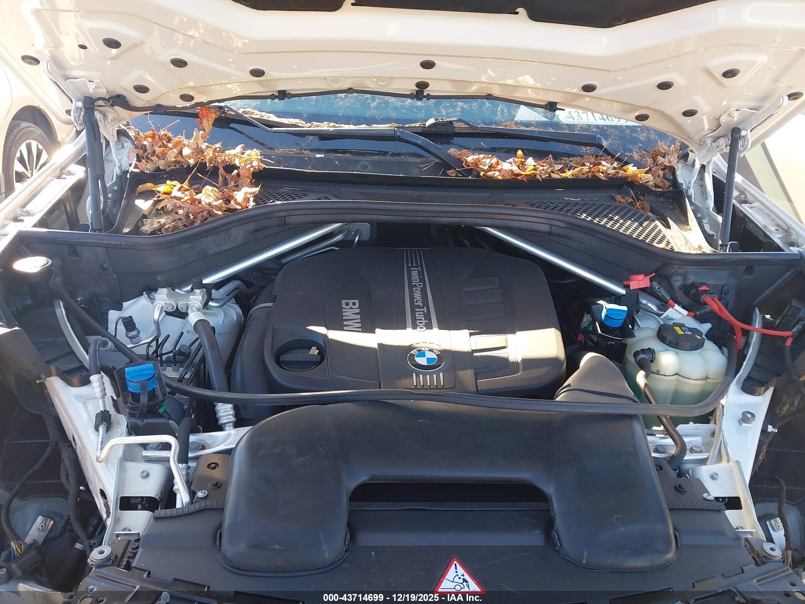 BMW X5 image 10