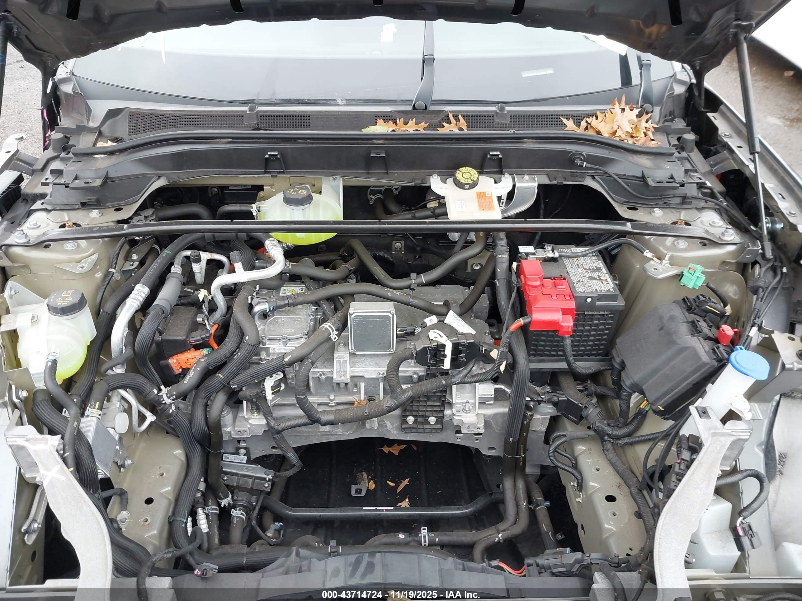 FORD MUSTANG image 10