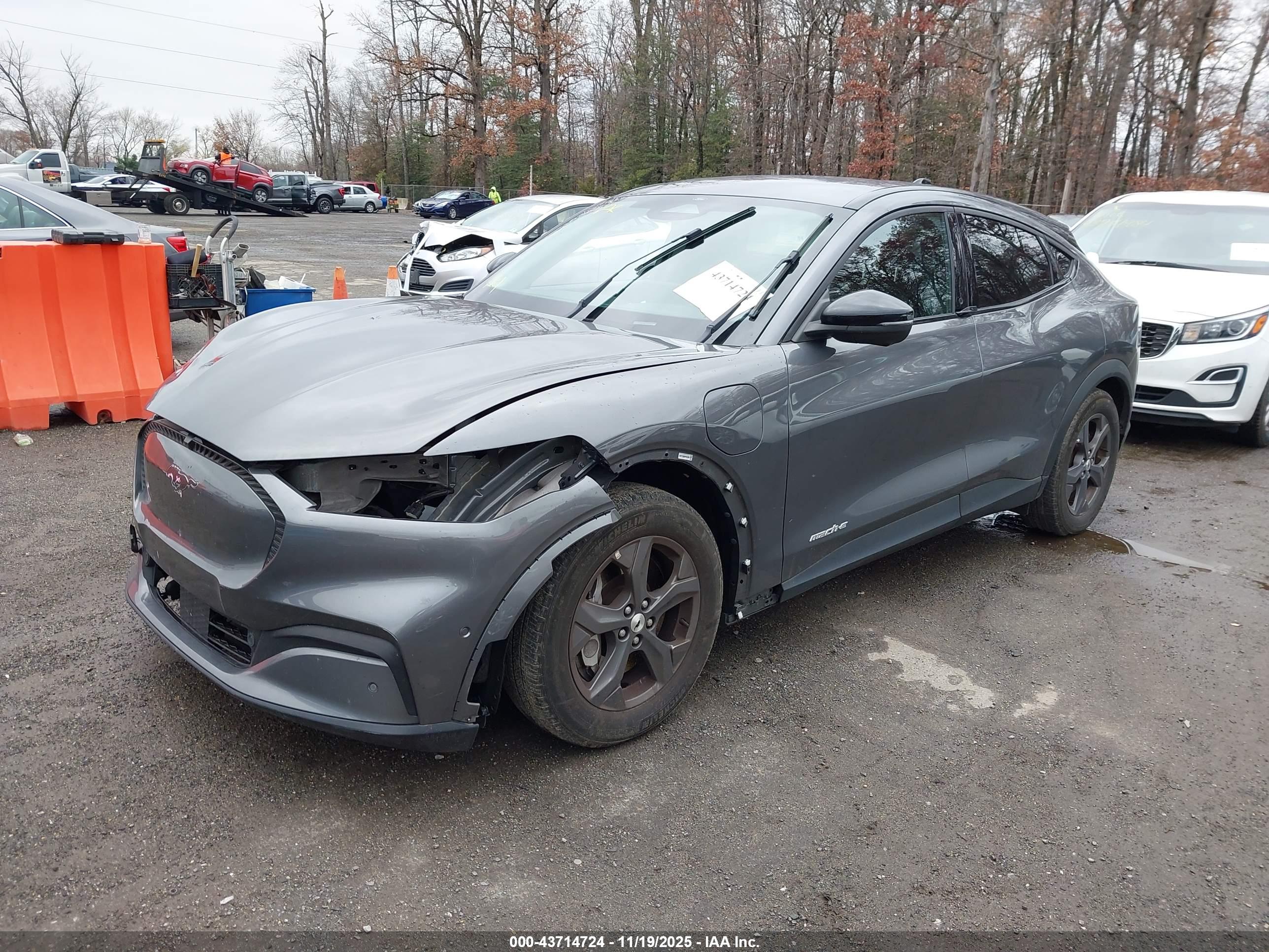FORD MUSTANG image 2