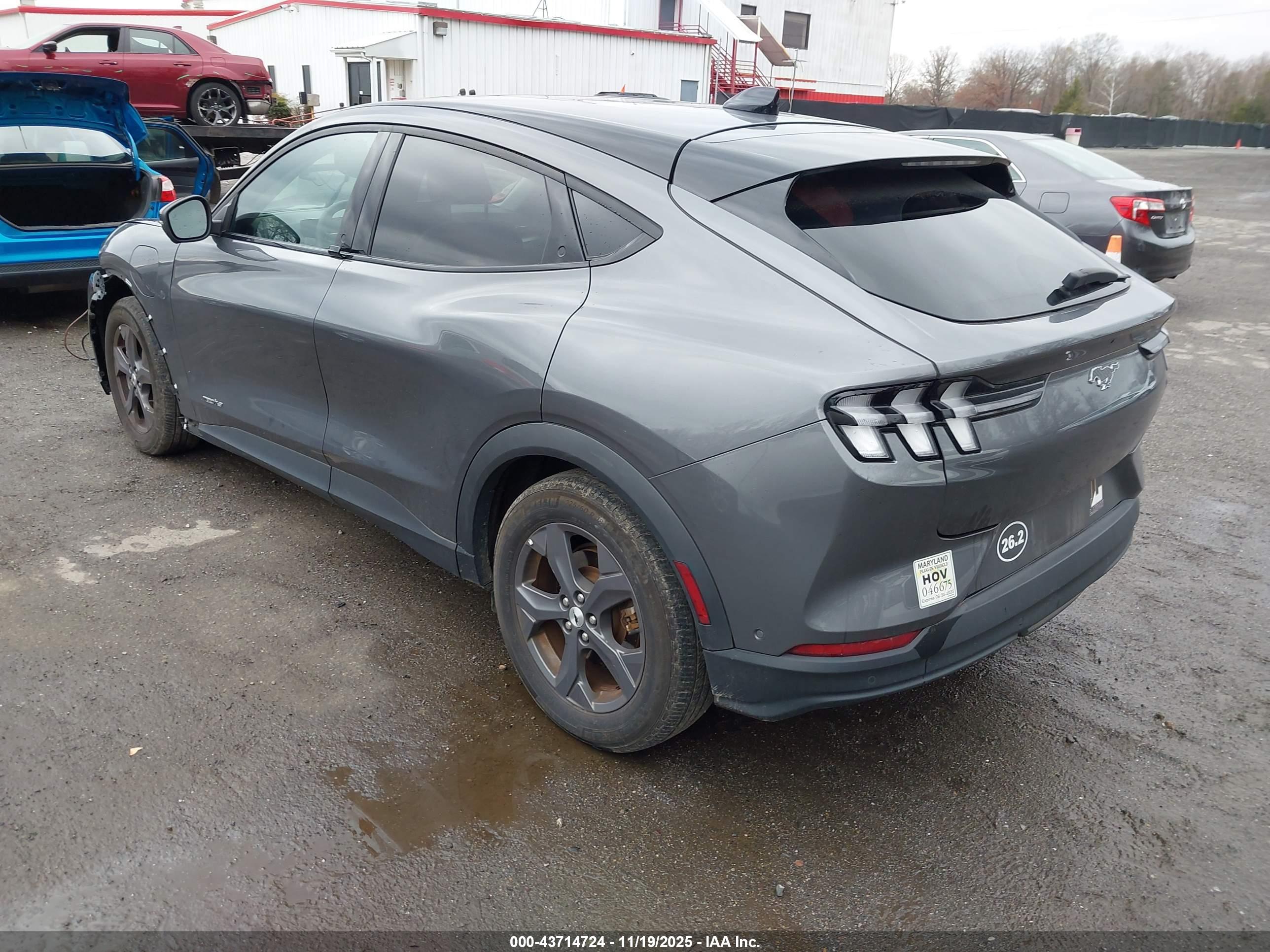 FORD MUSTANG image 3