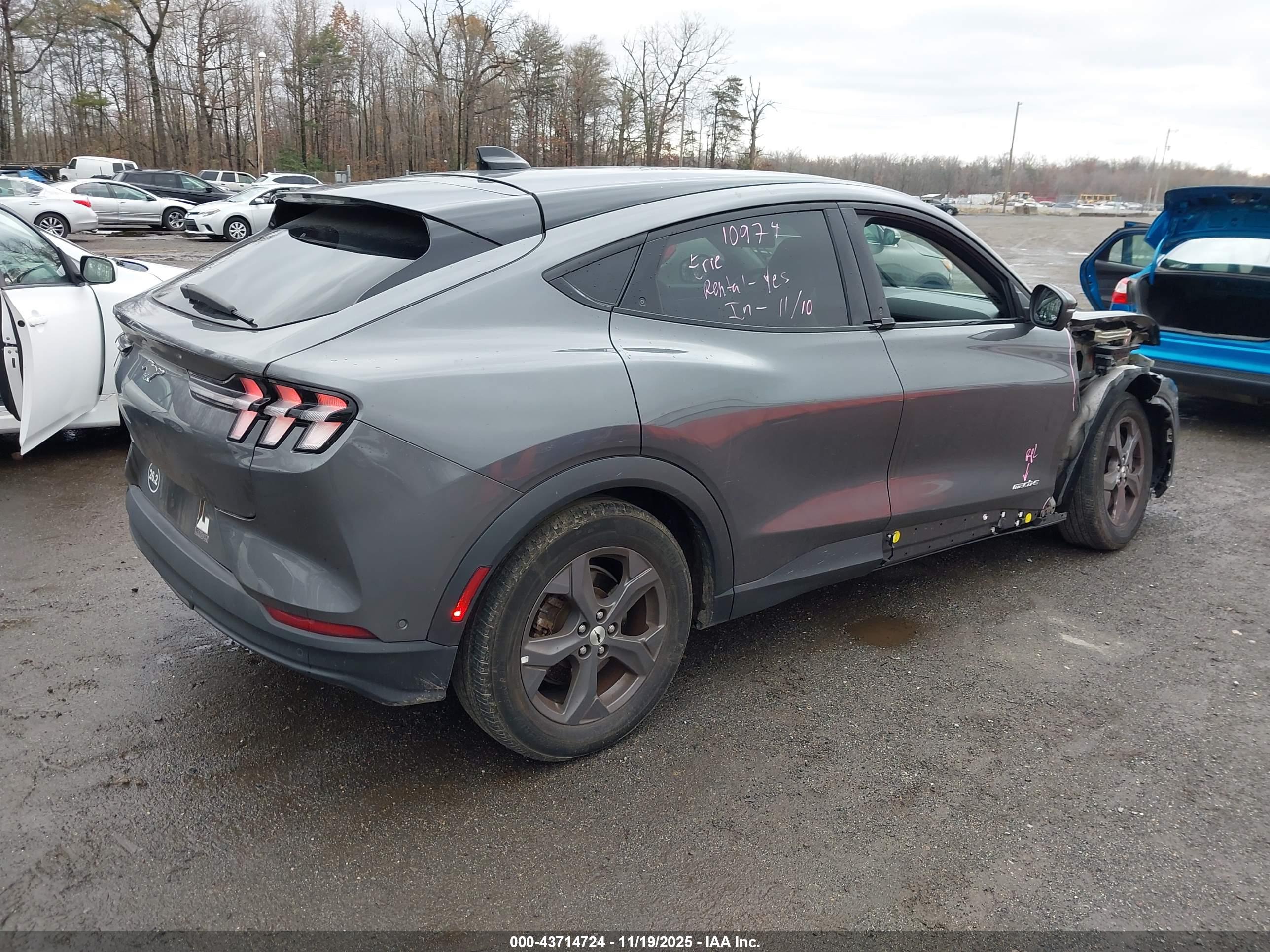 FORD MUSTANG image 4