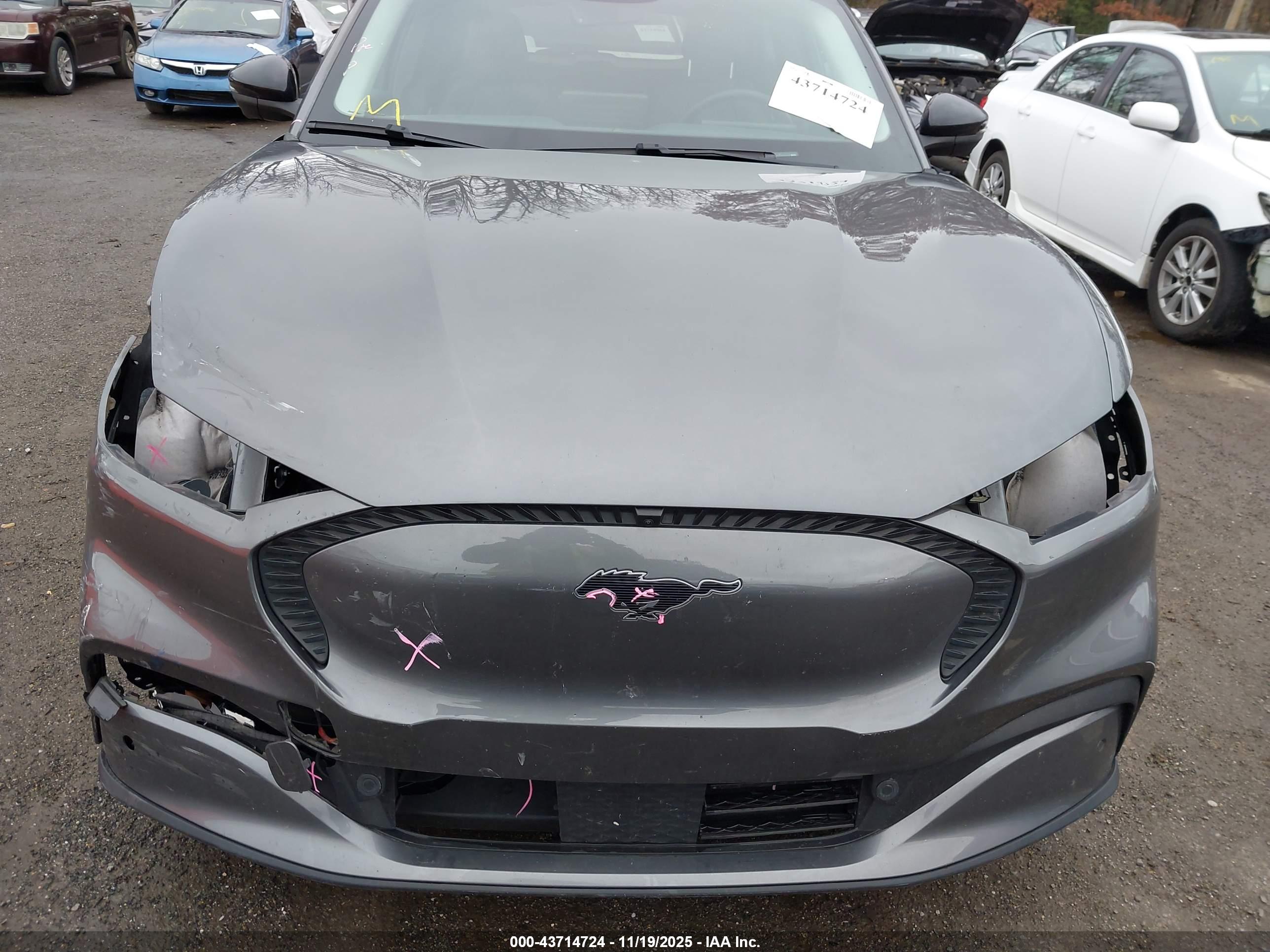 FORD MUSTANG image 6