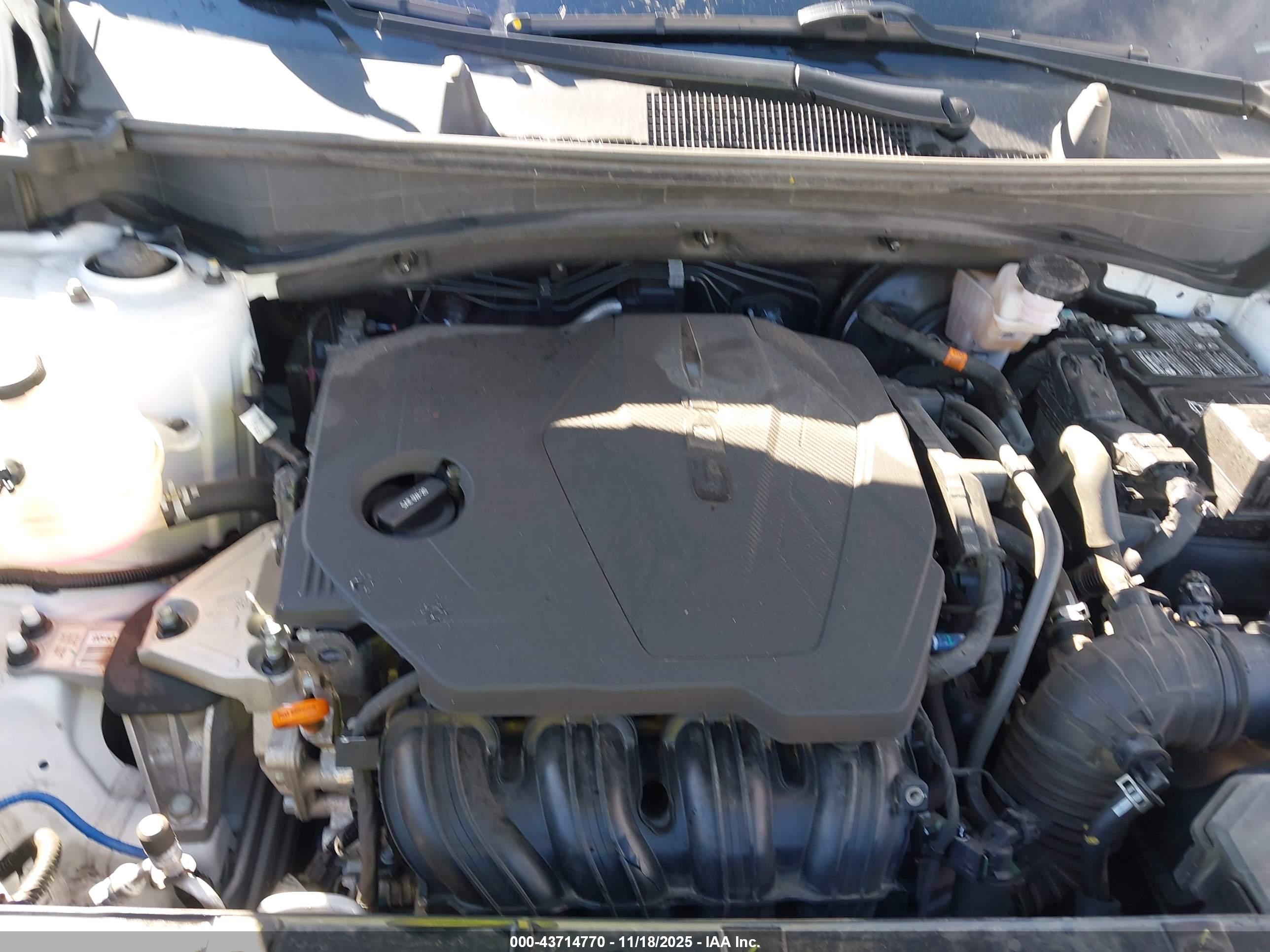 KIA SPORTAGE image 10