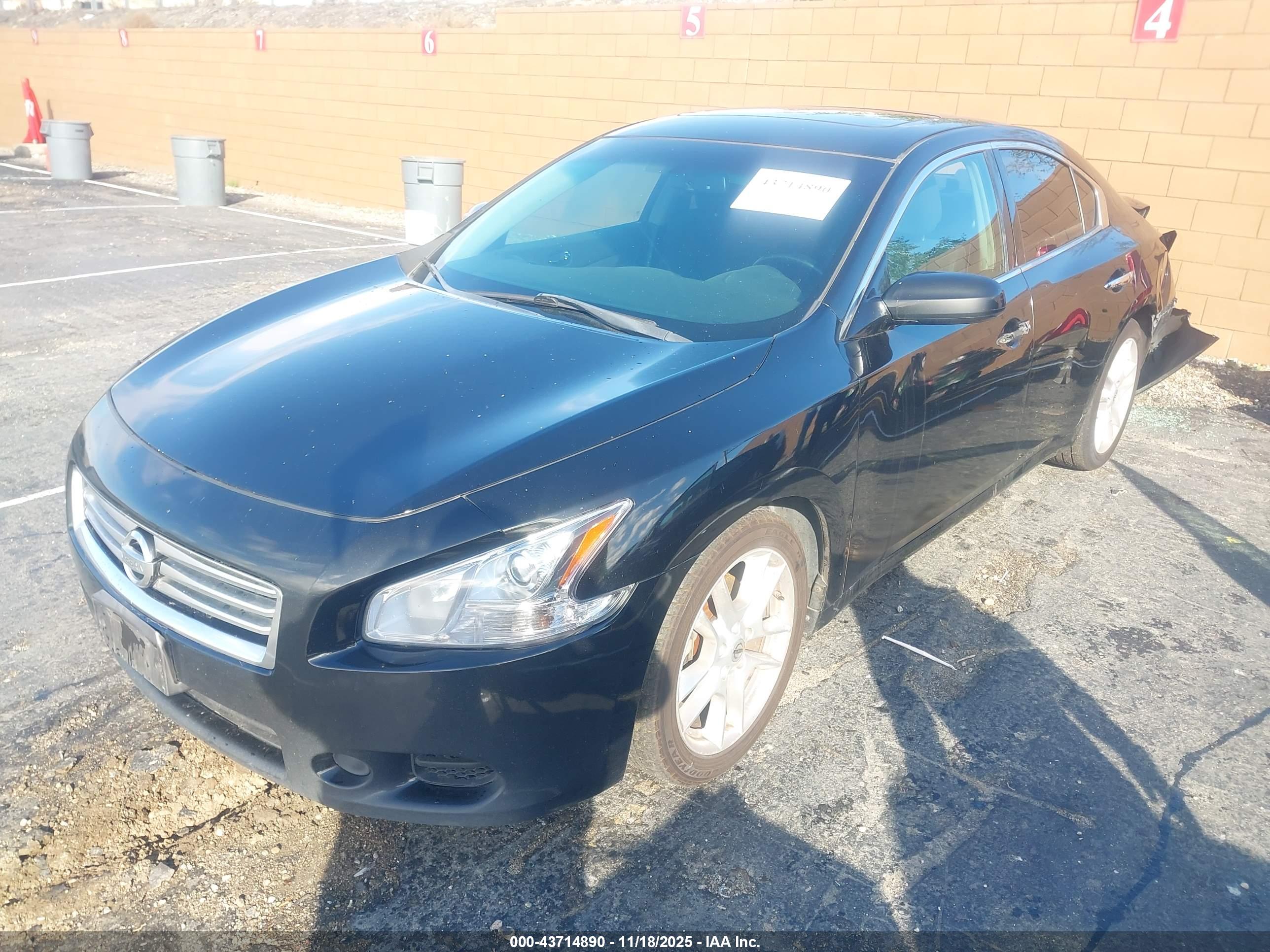 NISSAN MAXIMA image 2