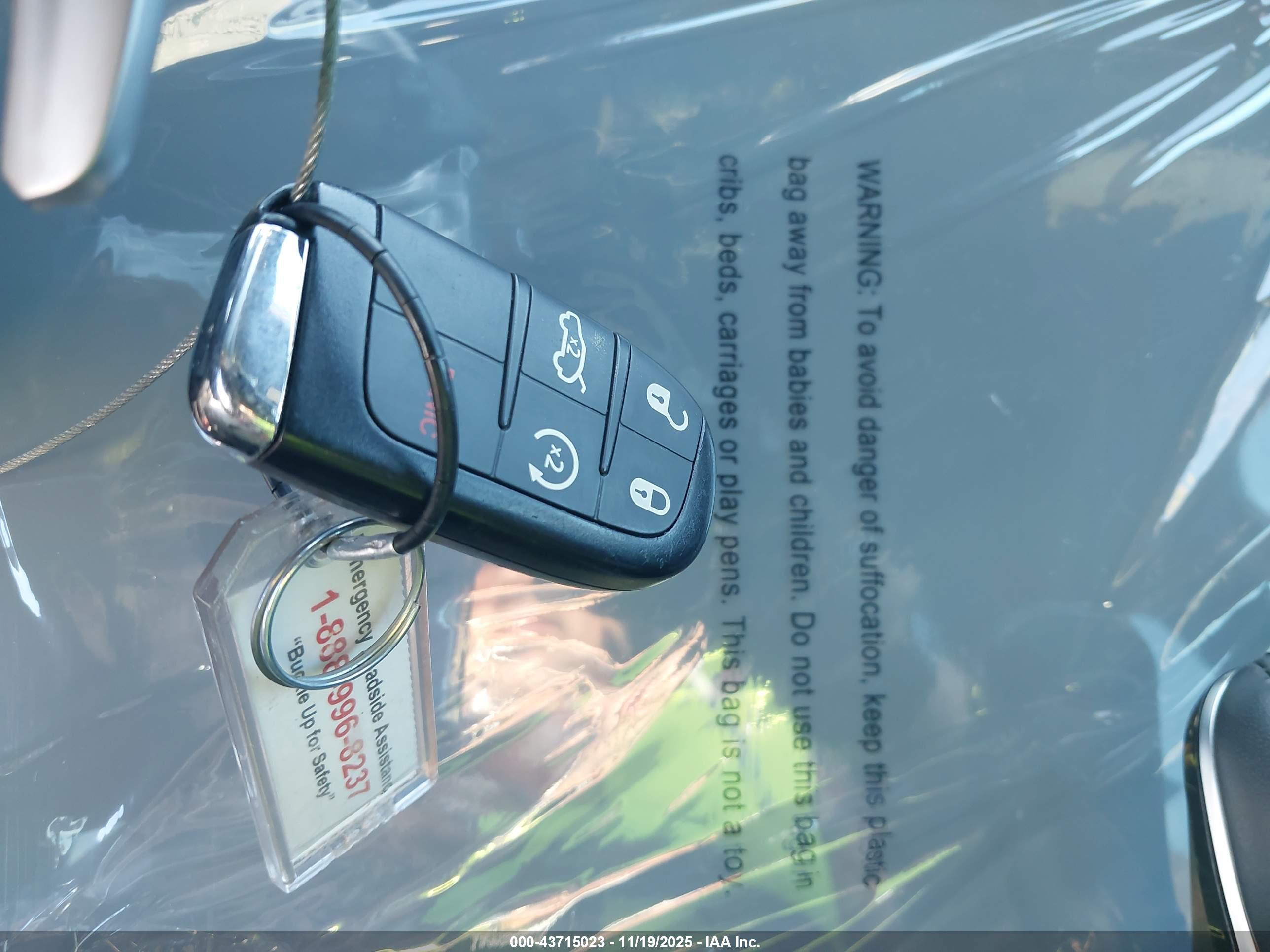 DODGE HORNET image 11