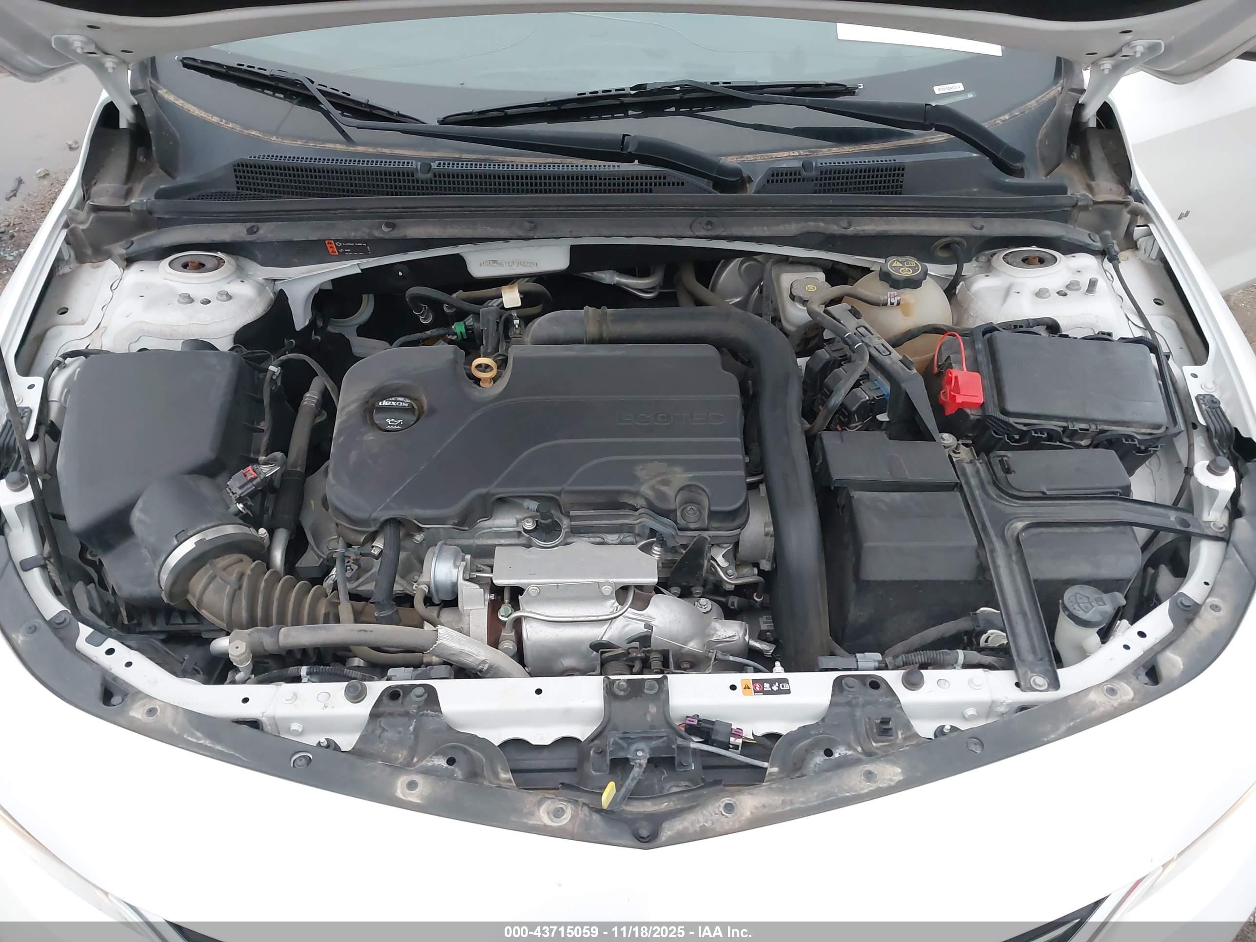 CHEVROLET MALIBU image 10