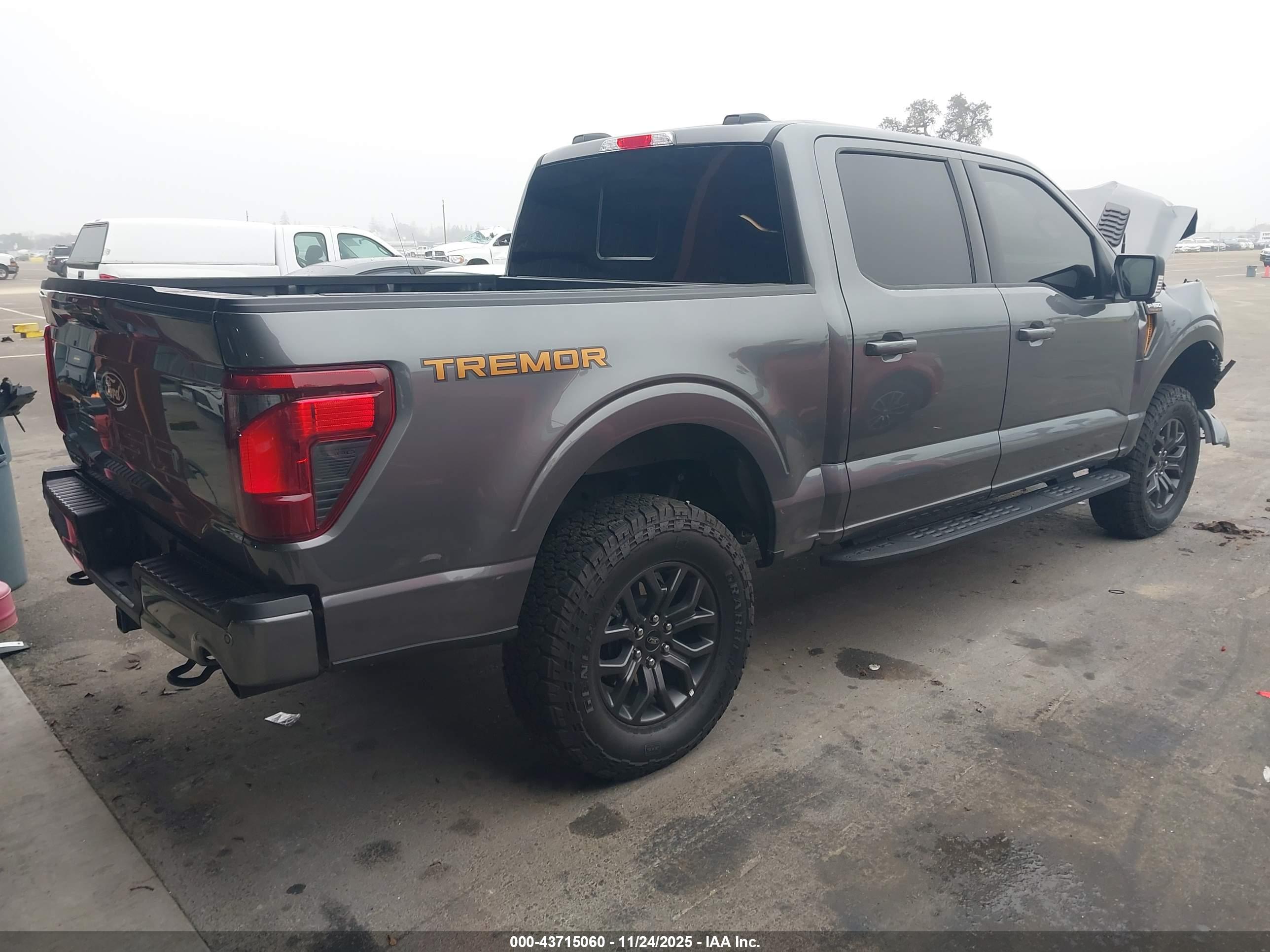 FORD F-150 image 4