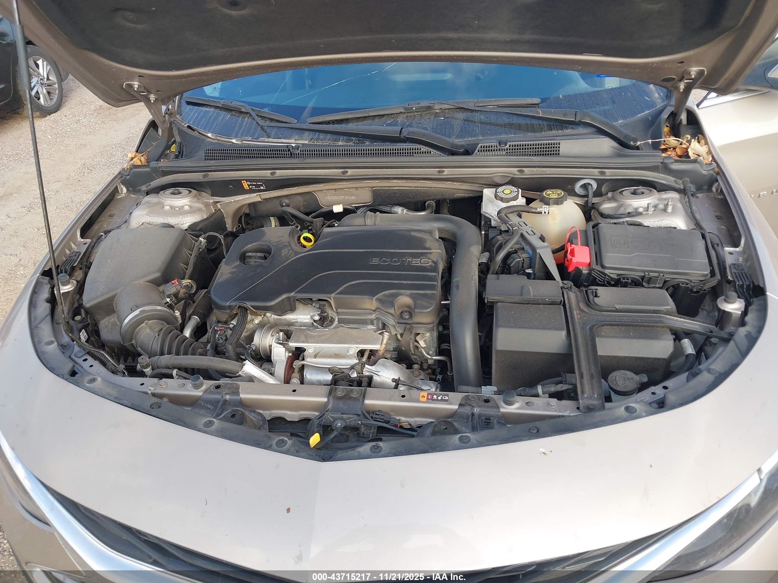 CHEVROLET MALIBU image 10