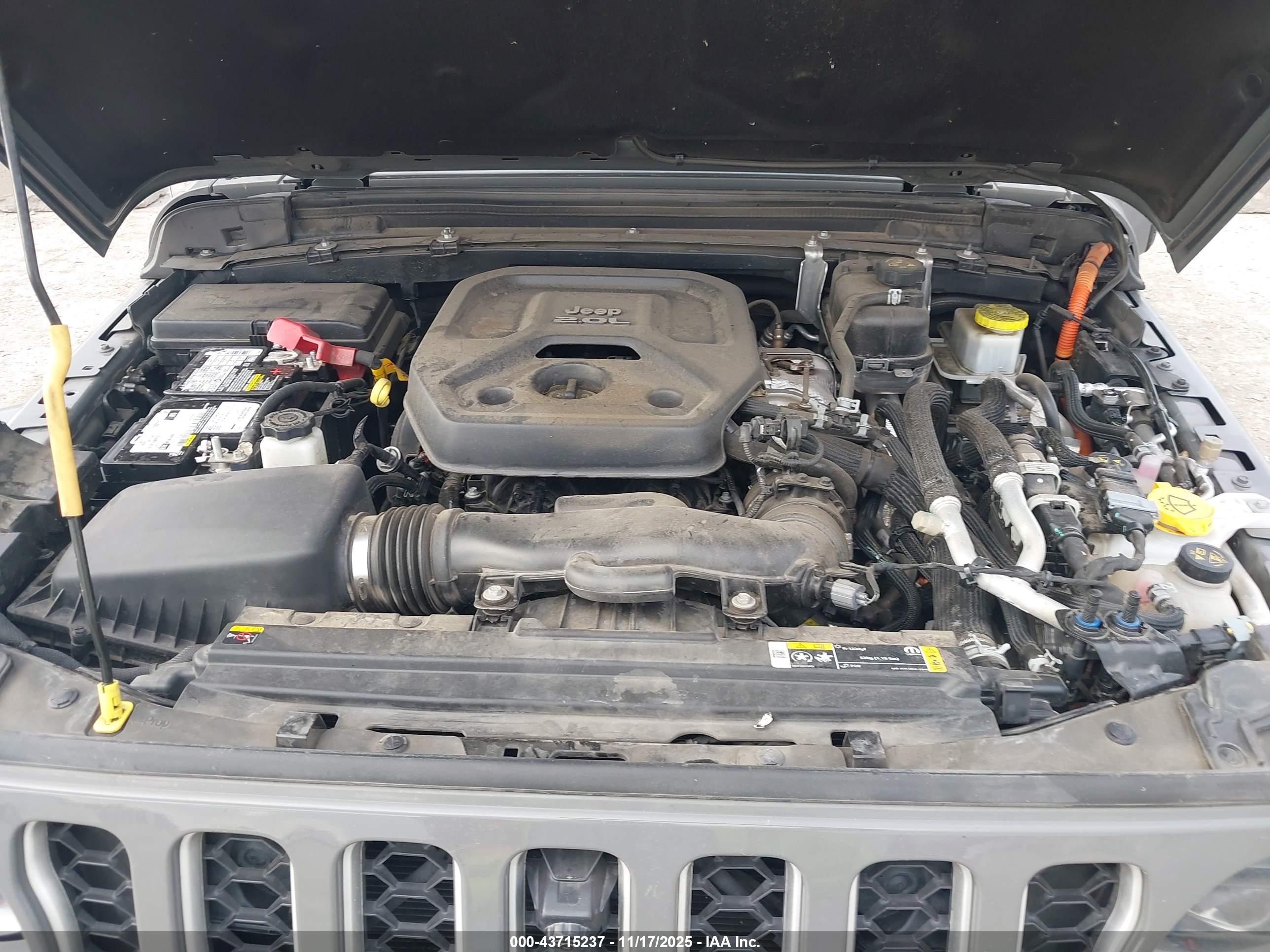 JEEP WRANGLER image 10