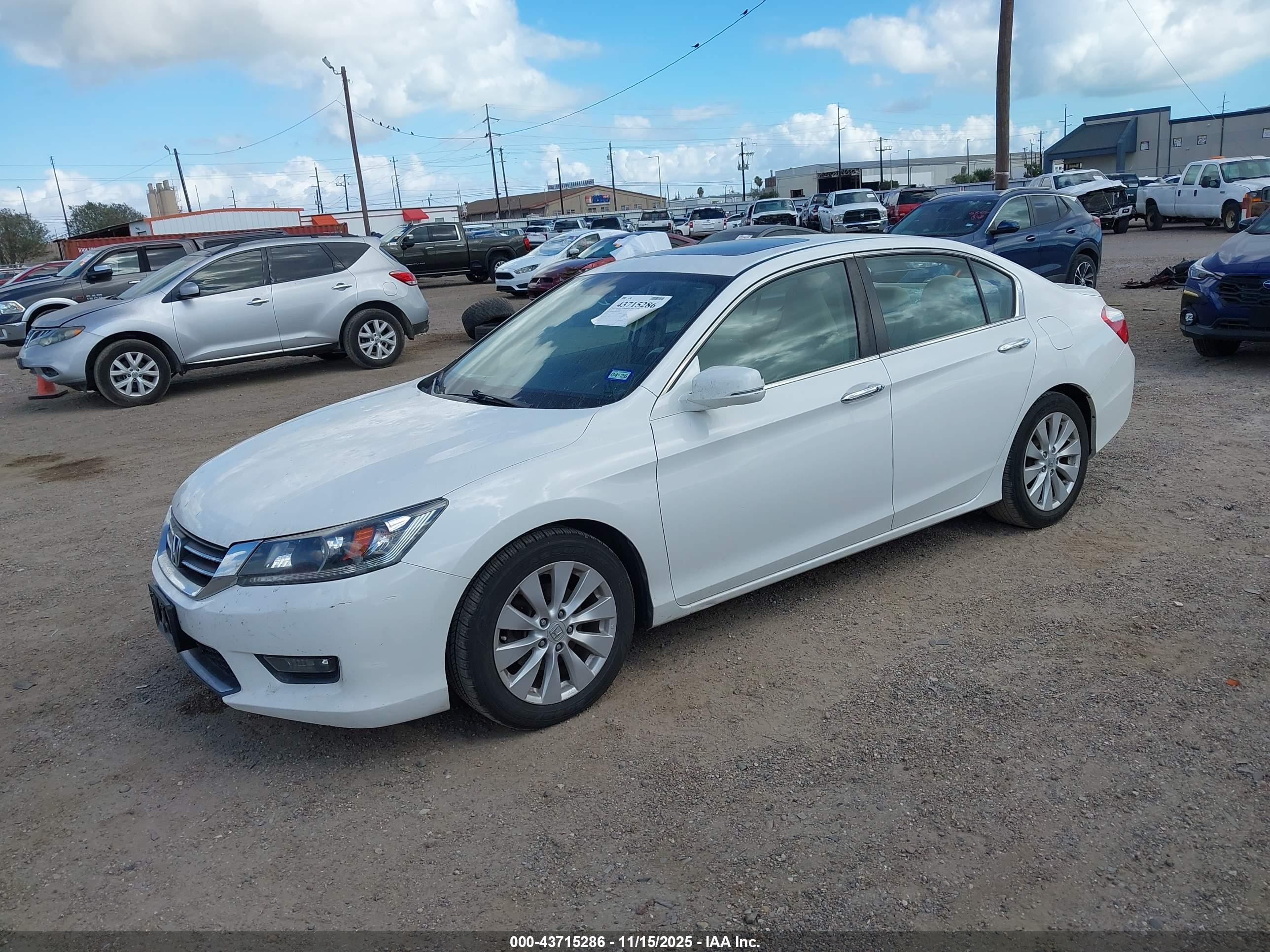 HONDA ACCORD image 2