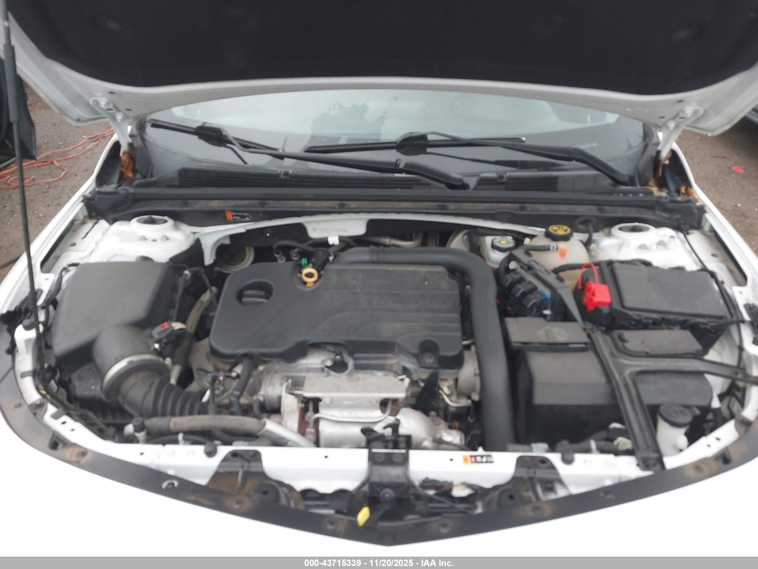 CHEVROLET MALIBU image 10
