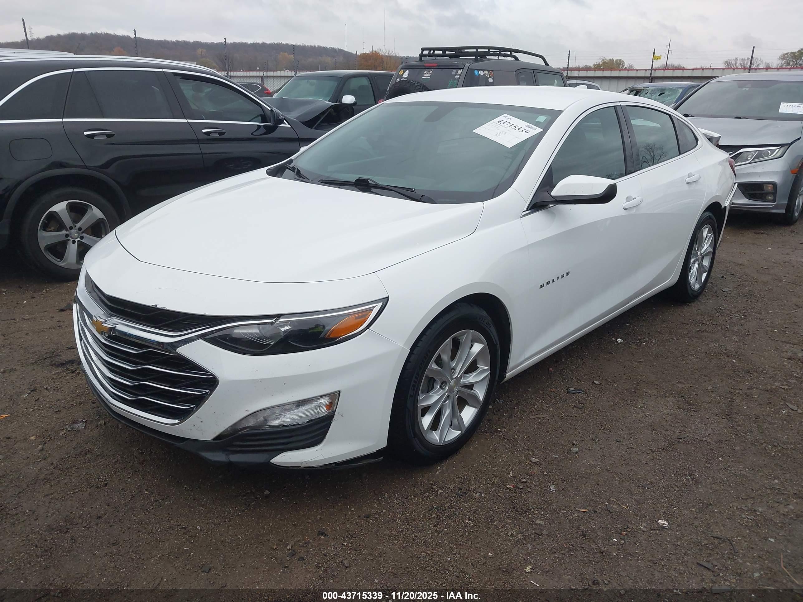 CHEVROLET MALIBU image 2