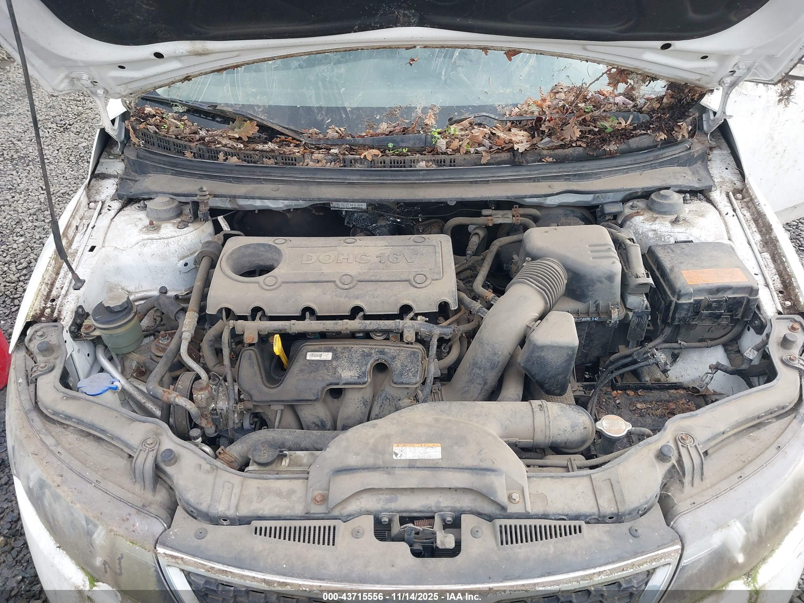 KIA FORTE image 10