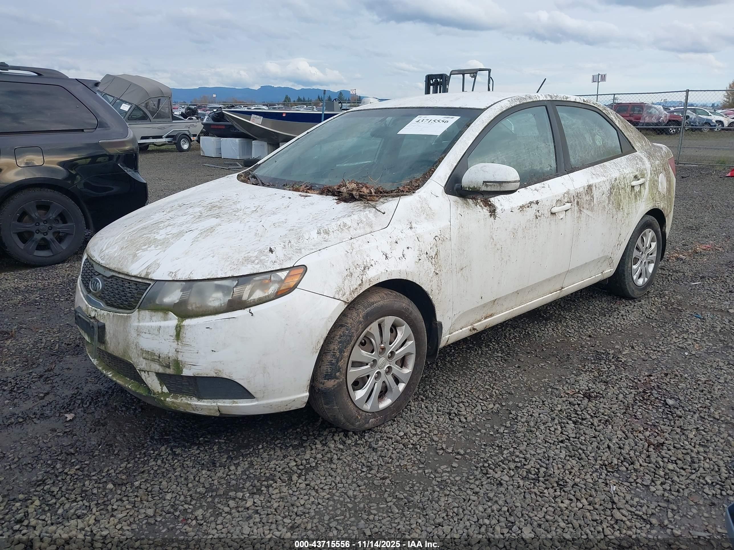 KIA FORTE image 2