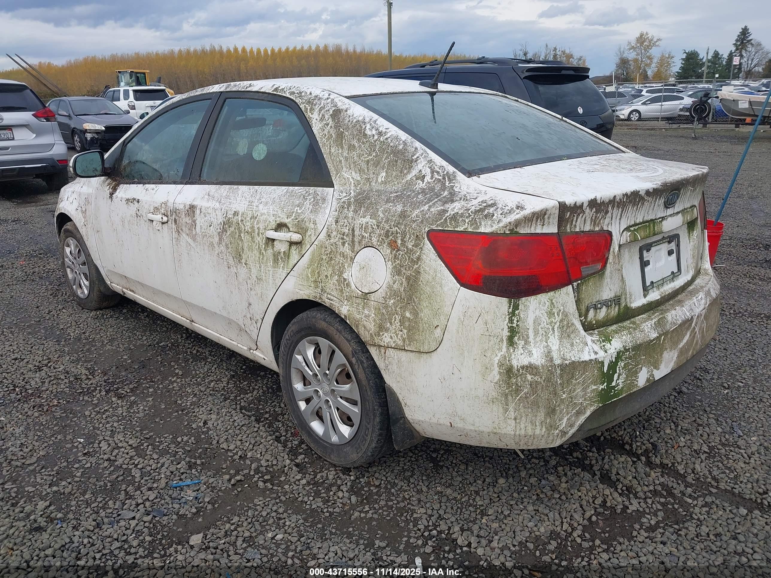 KIA FORTE image 3