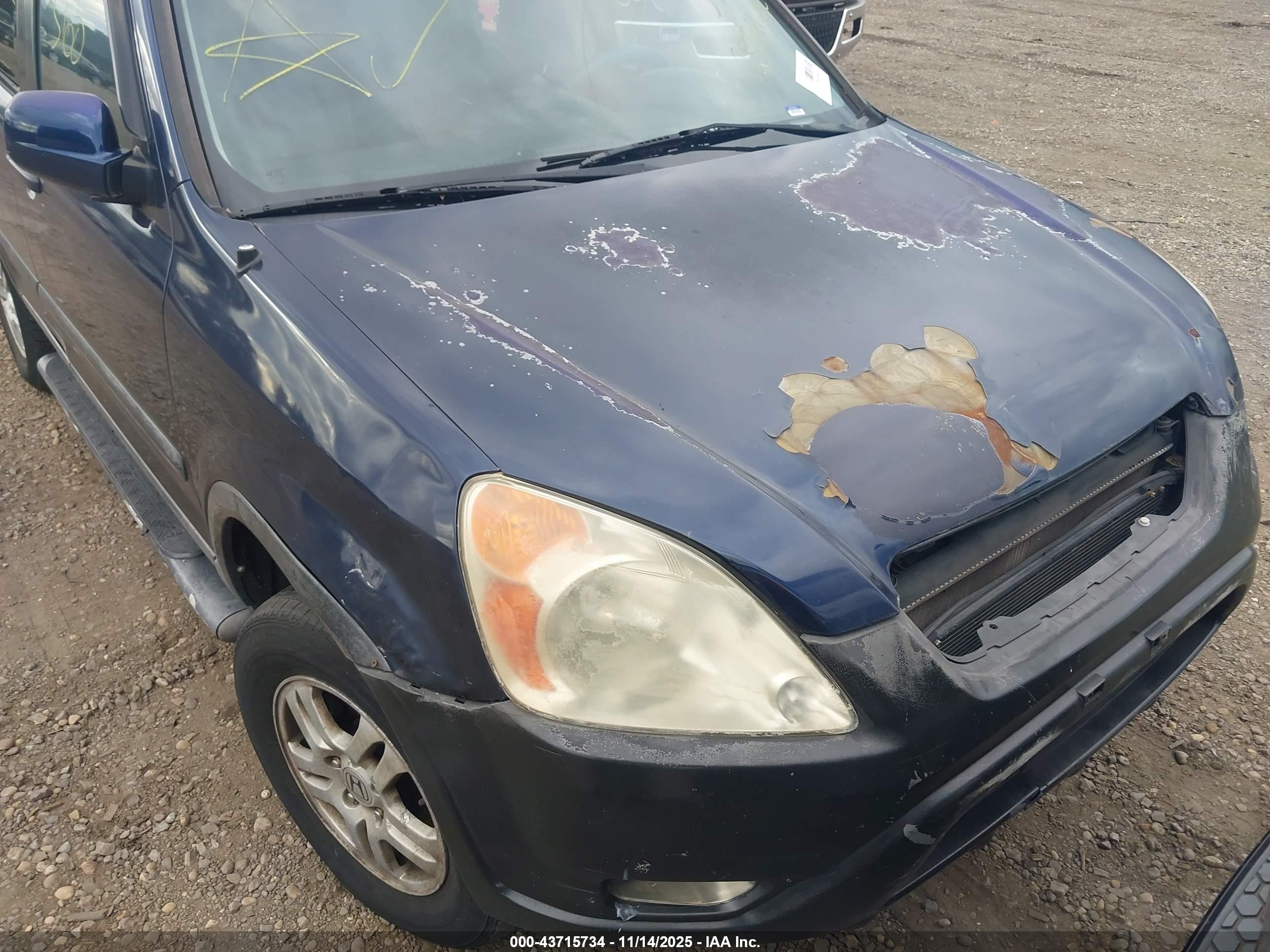 HONDA CR-V image 6